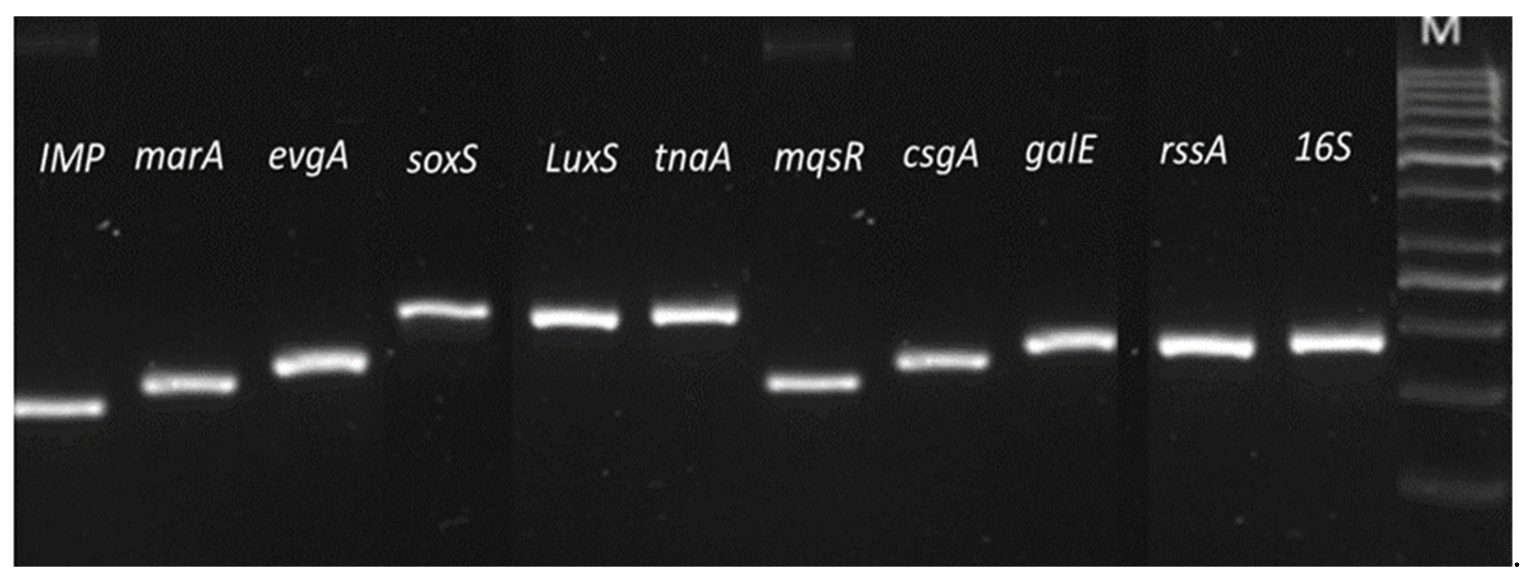 Ijerph 19 04788 g009