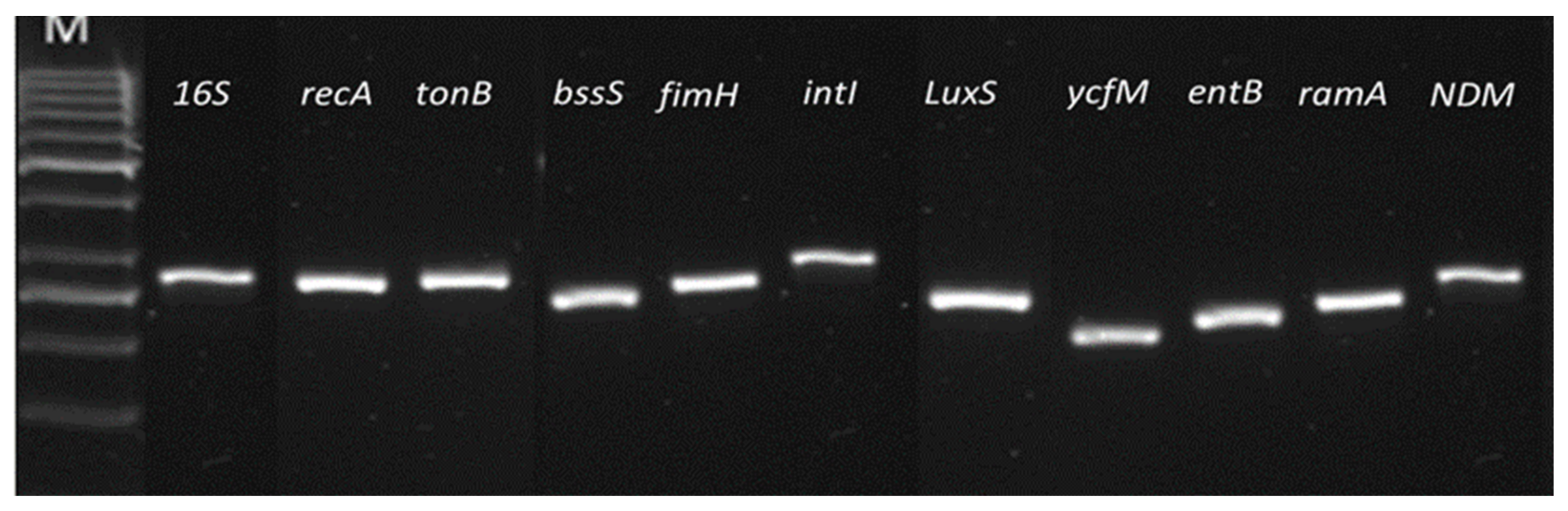 Ijerph 19 04788 g010