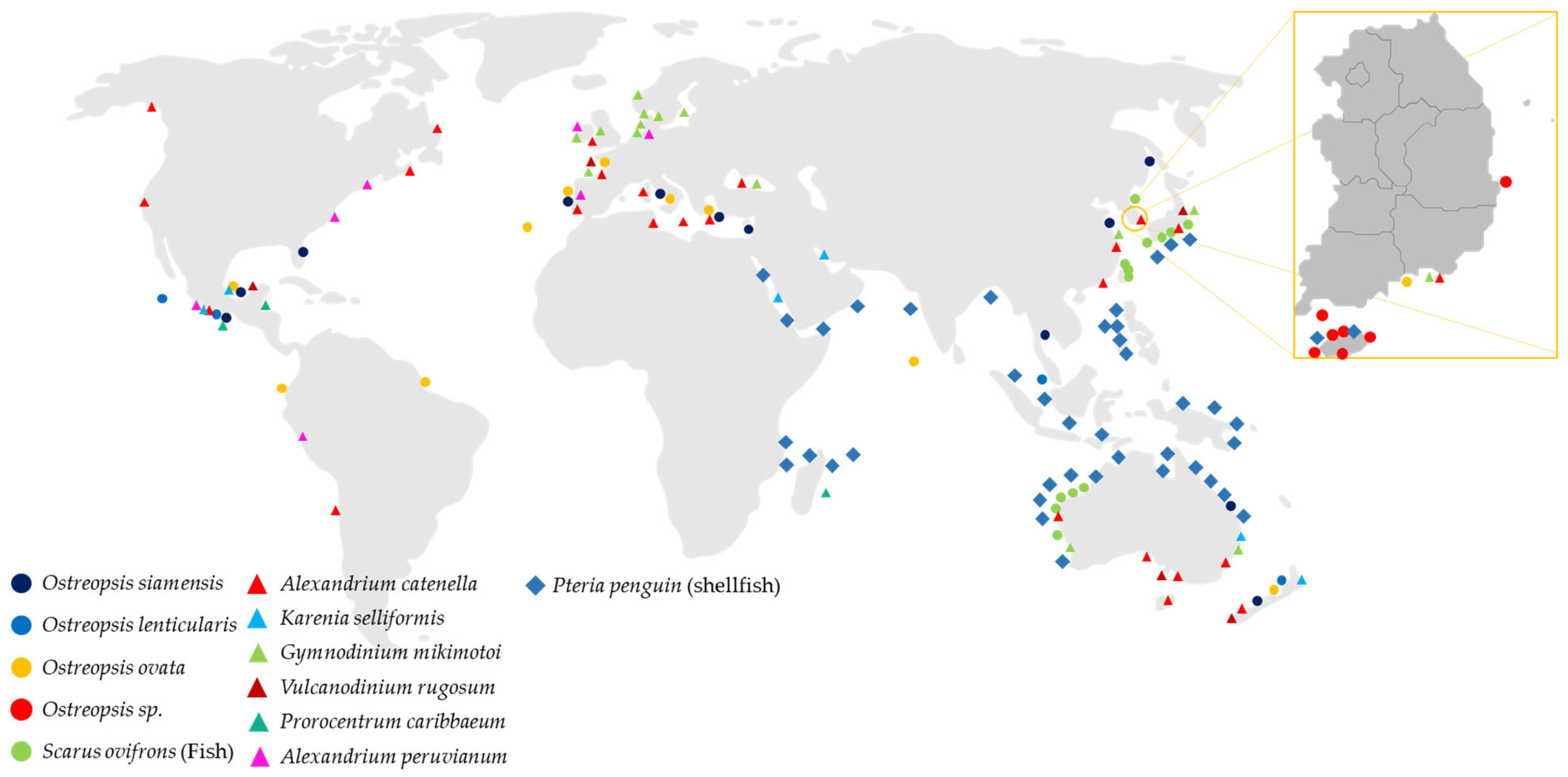 Ijerph 19 04921 g004