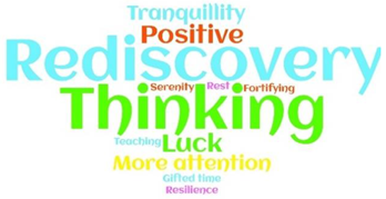 Ijerph 19 04954 i003