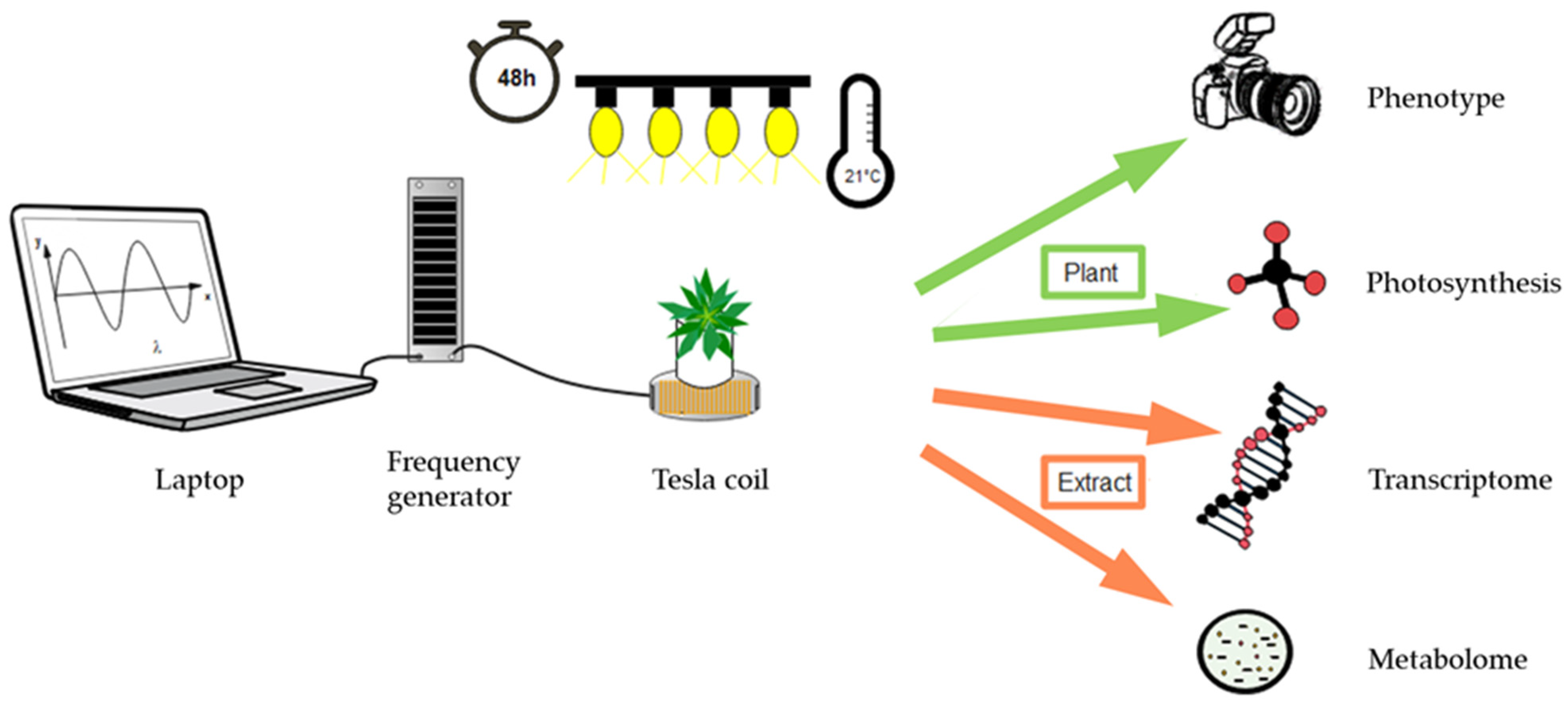 Ijerph 19 05144 g001