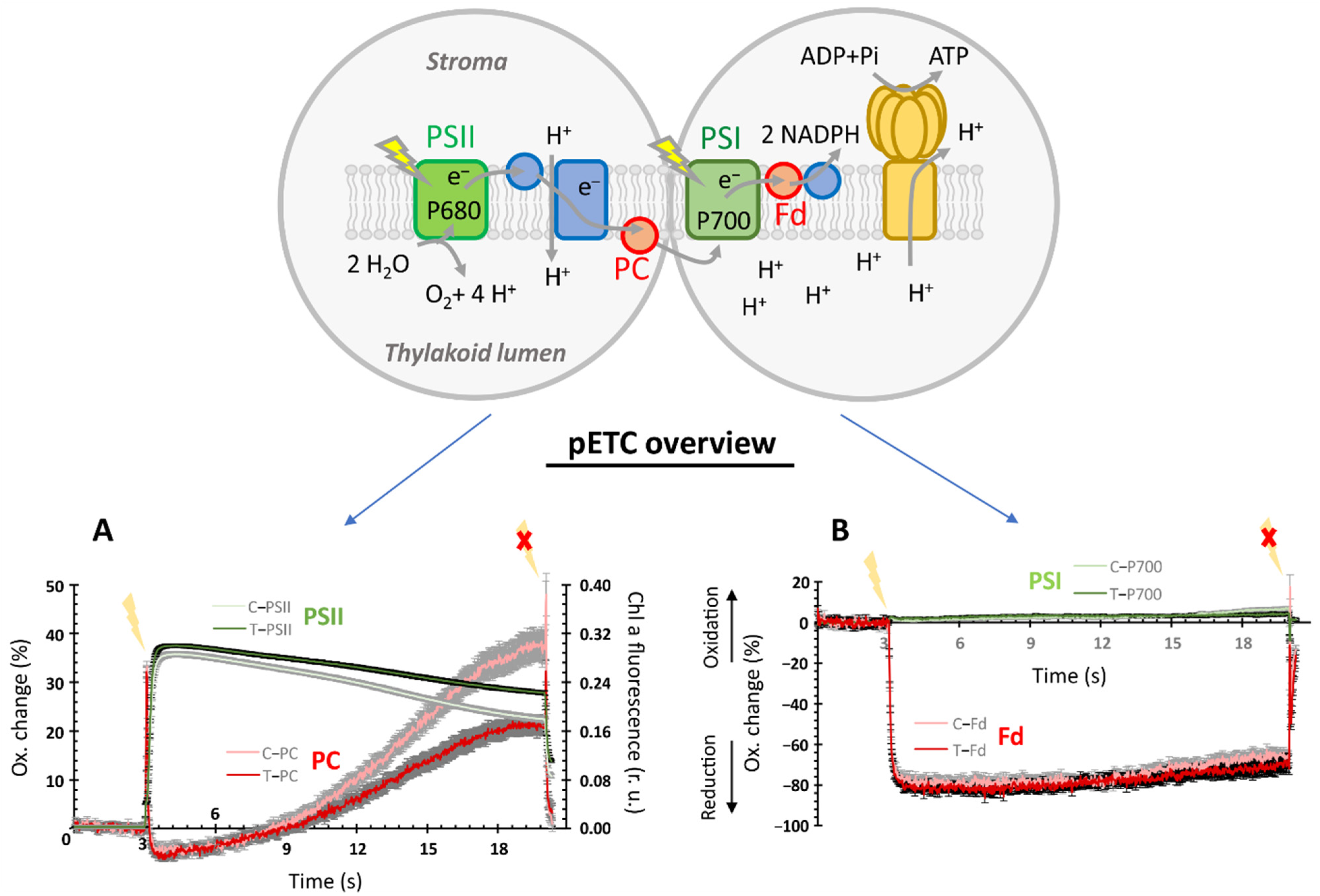 Ijerph 19 05144 g002