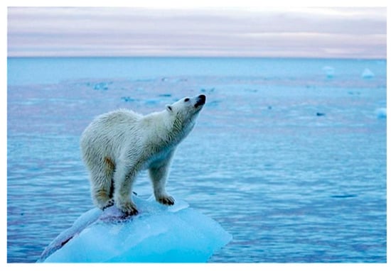 Ijerph 19 05210 g0a2