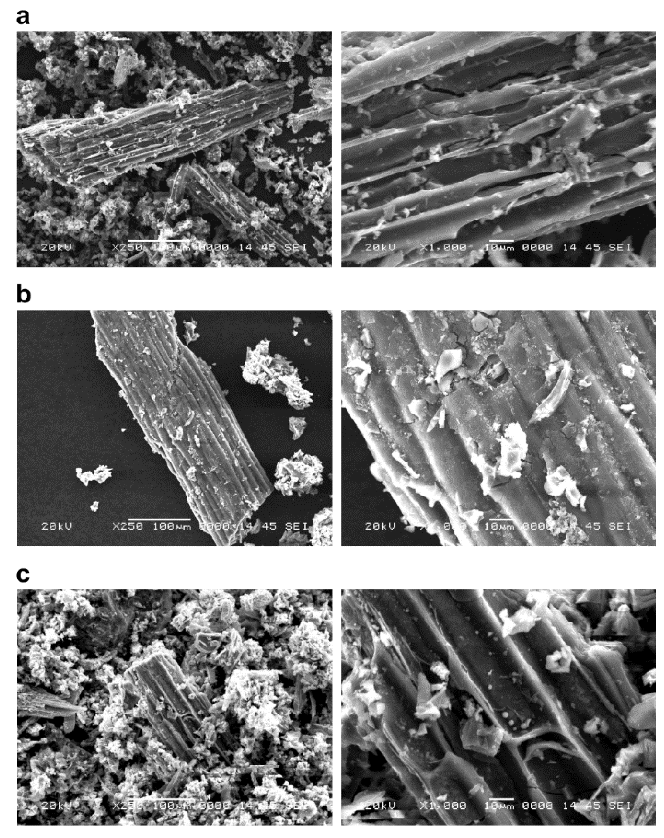 Ijerph 19 05226 g002