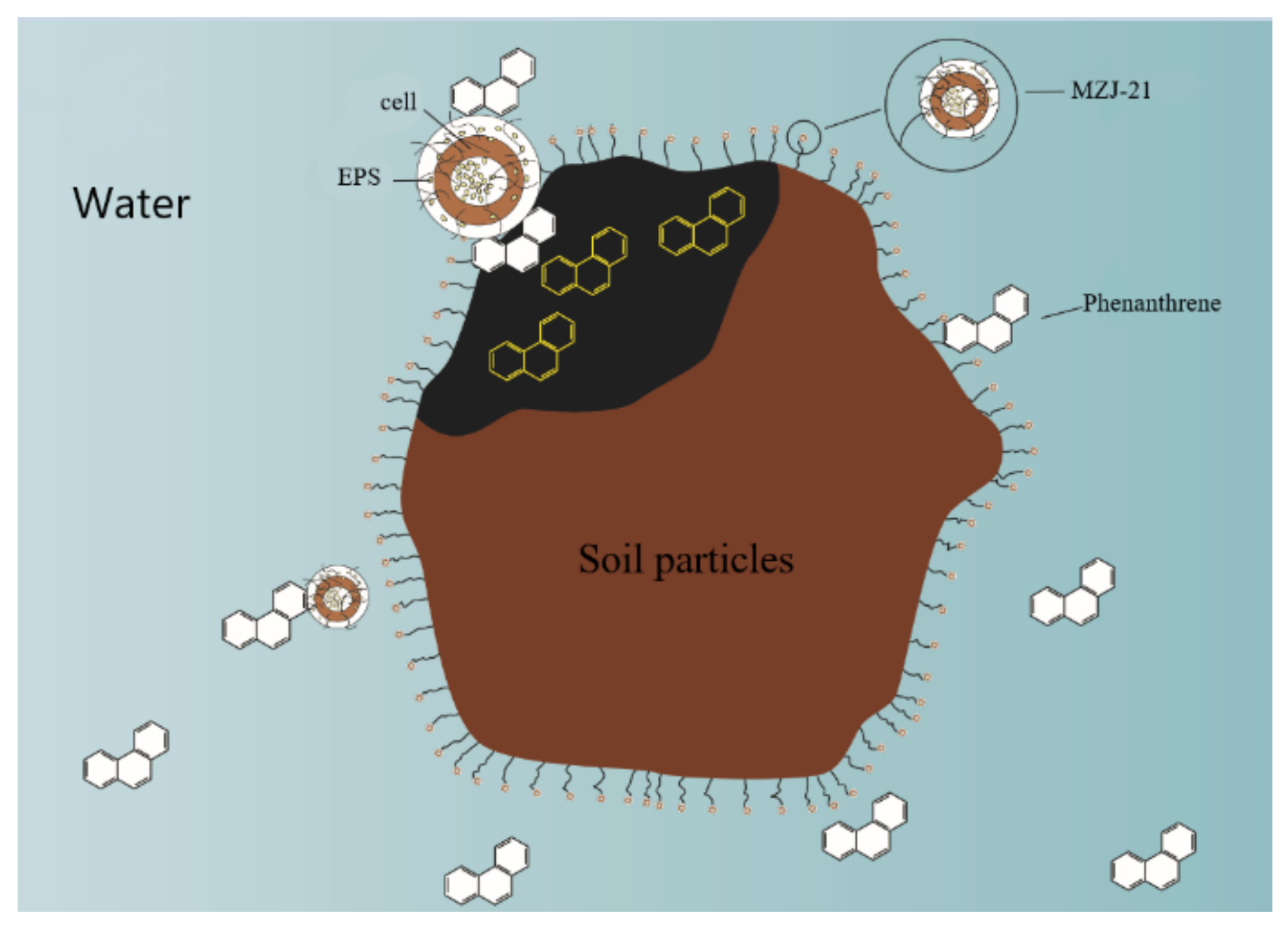 Ijerph 19 05515 g008