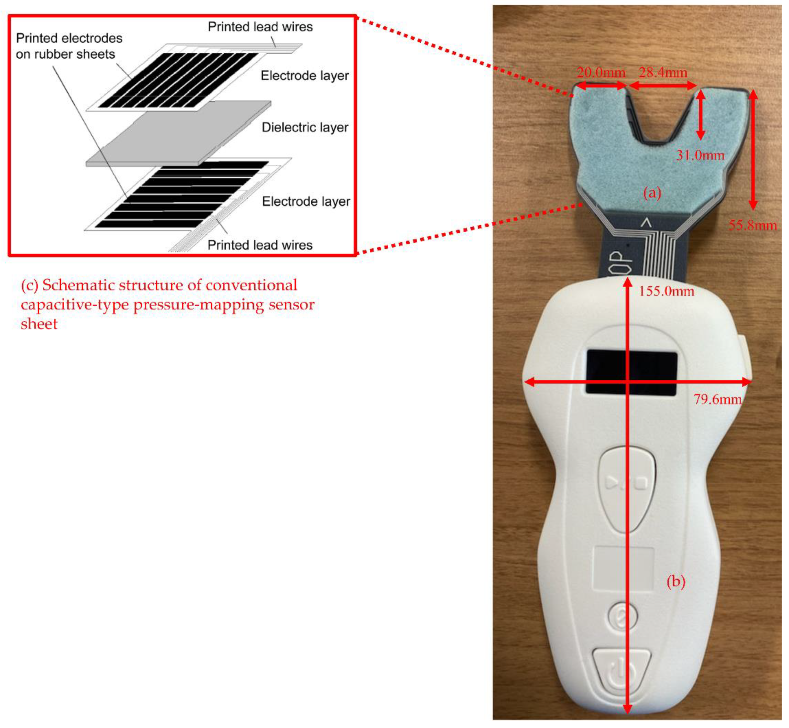 Ijerph 19 05588 g001