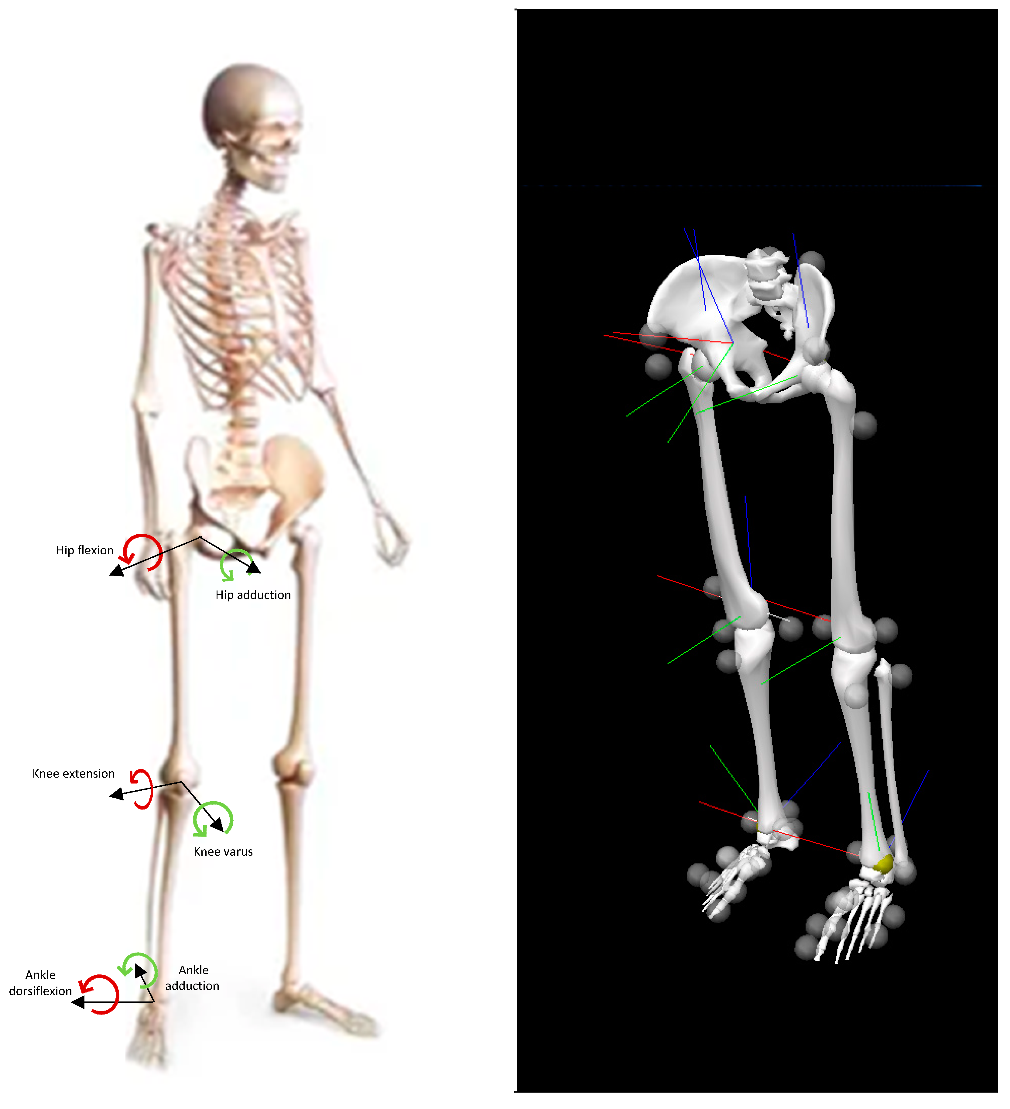 Ijerph 19 05590 g002