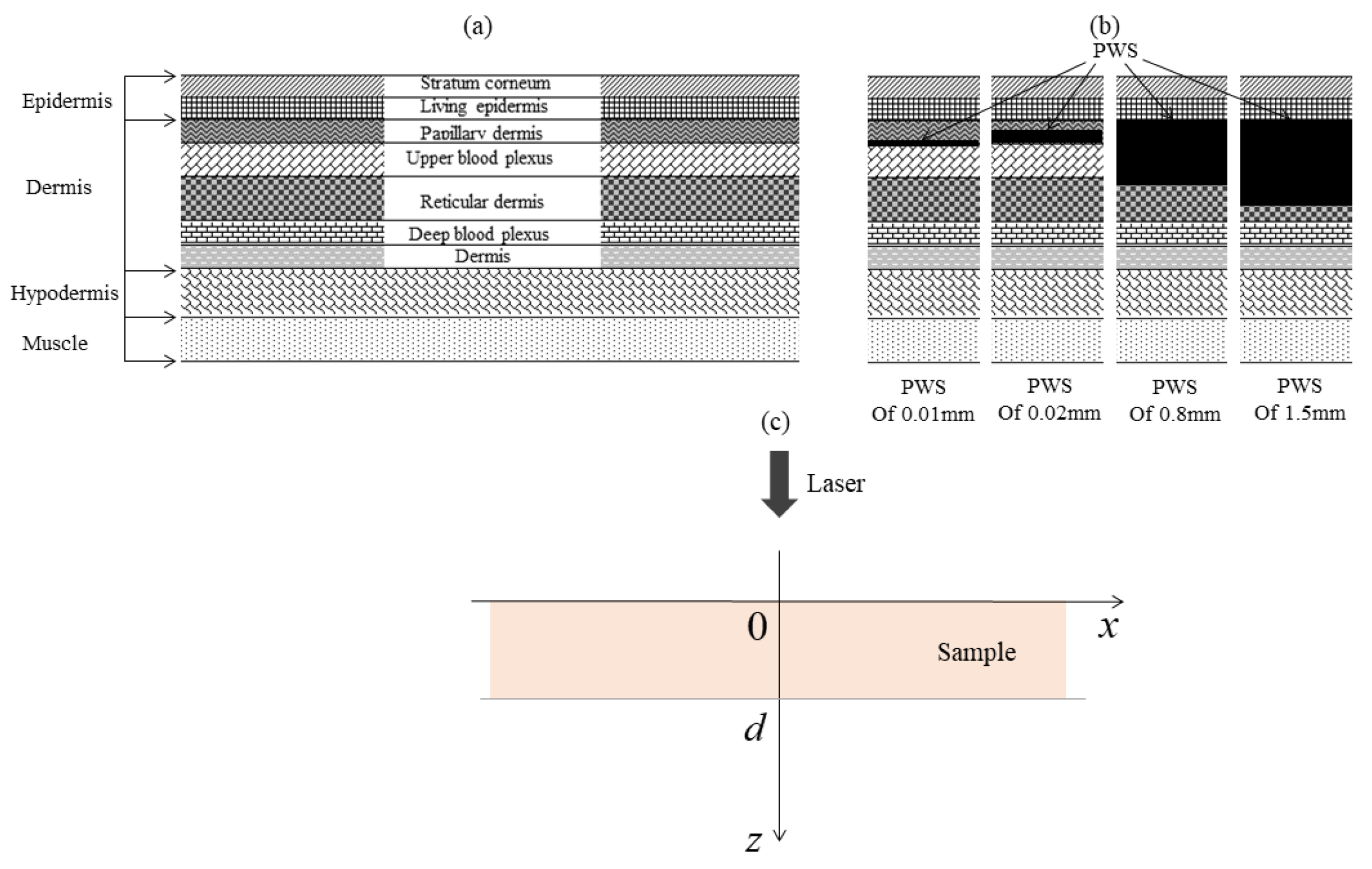 Ijerph 19 05637 g001