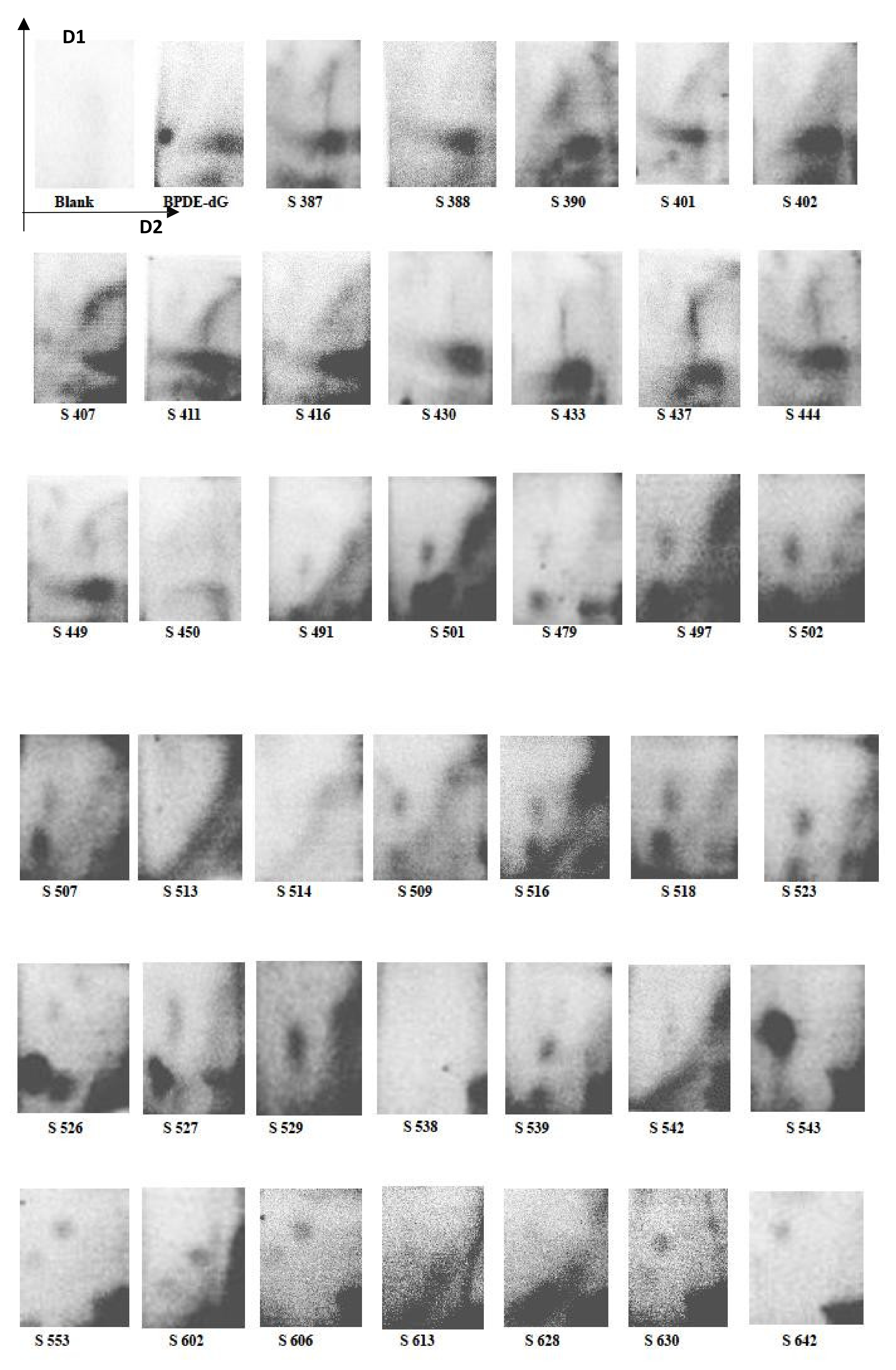 Ijerph 19 05761 g001