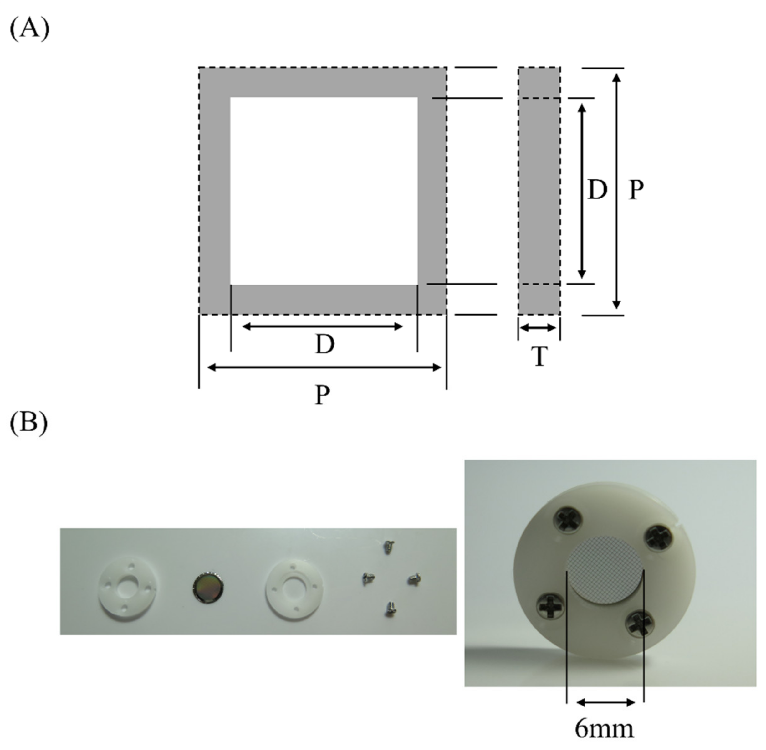 Ijerph 19 05773 g001
