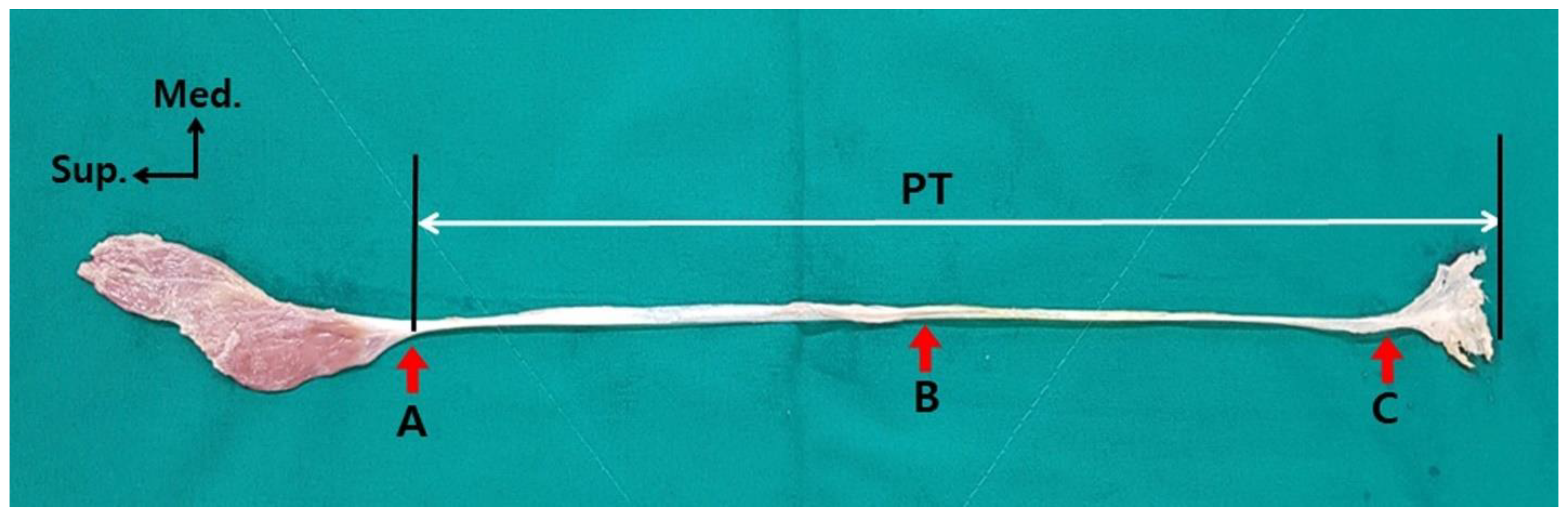 Ijerph 19 05795 g001