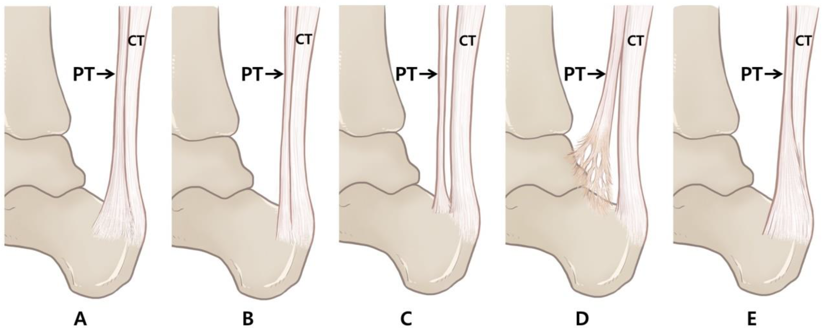 Ijerph 19 05795 g002