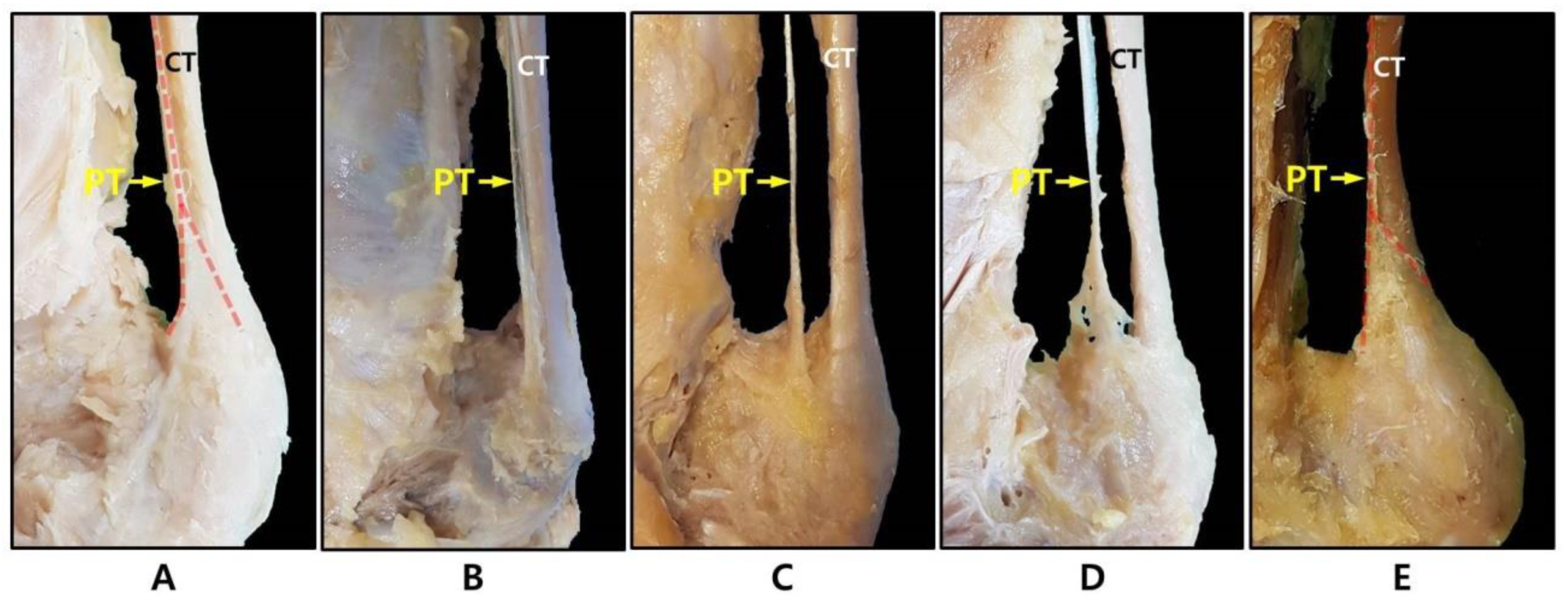 Ijerph 19 05795 g003