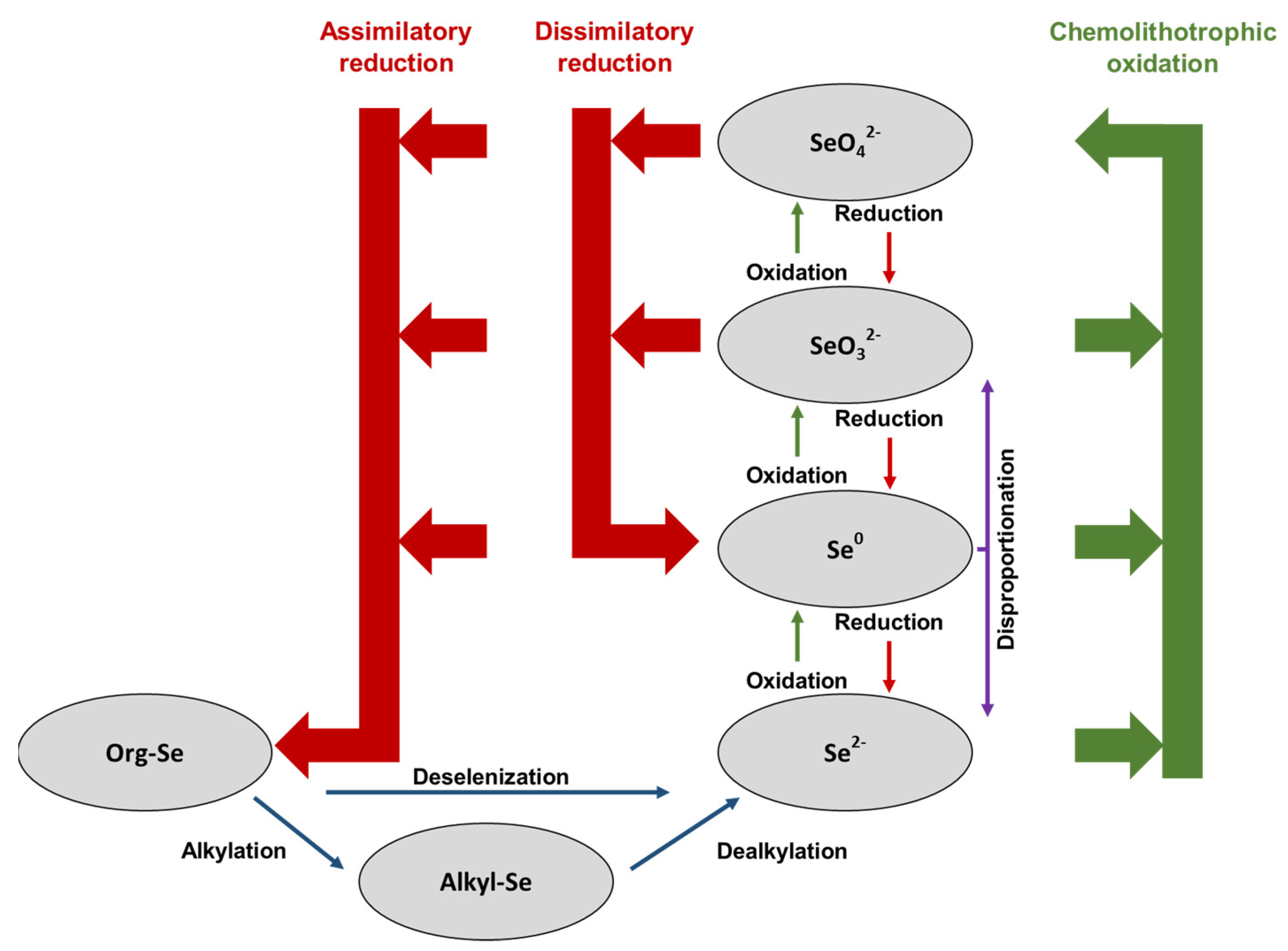 Ijerph 19 05834 g008 Ijerph 19 05834 g008