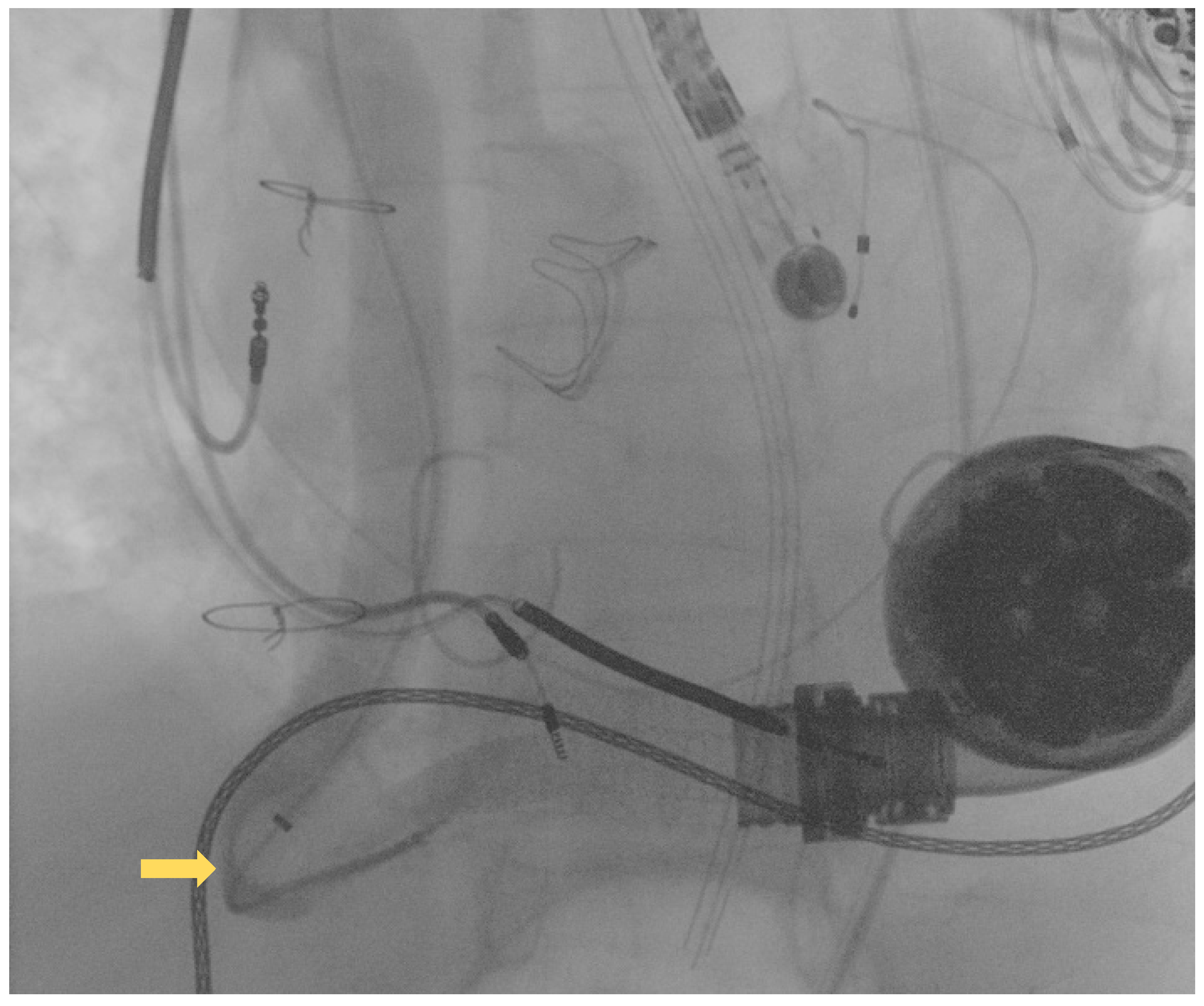 Ijerph 19 05976 g002