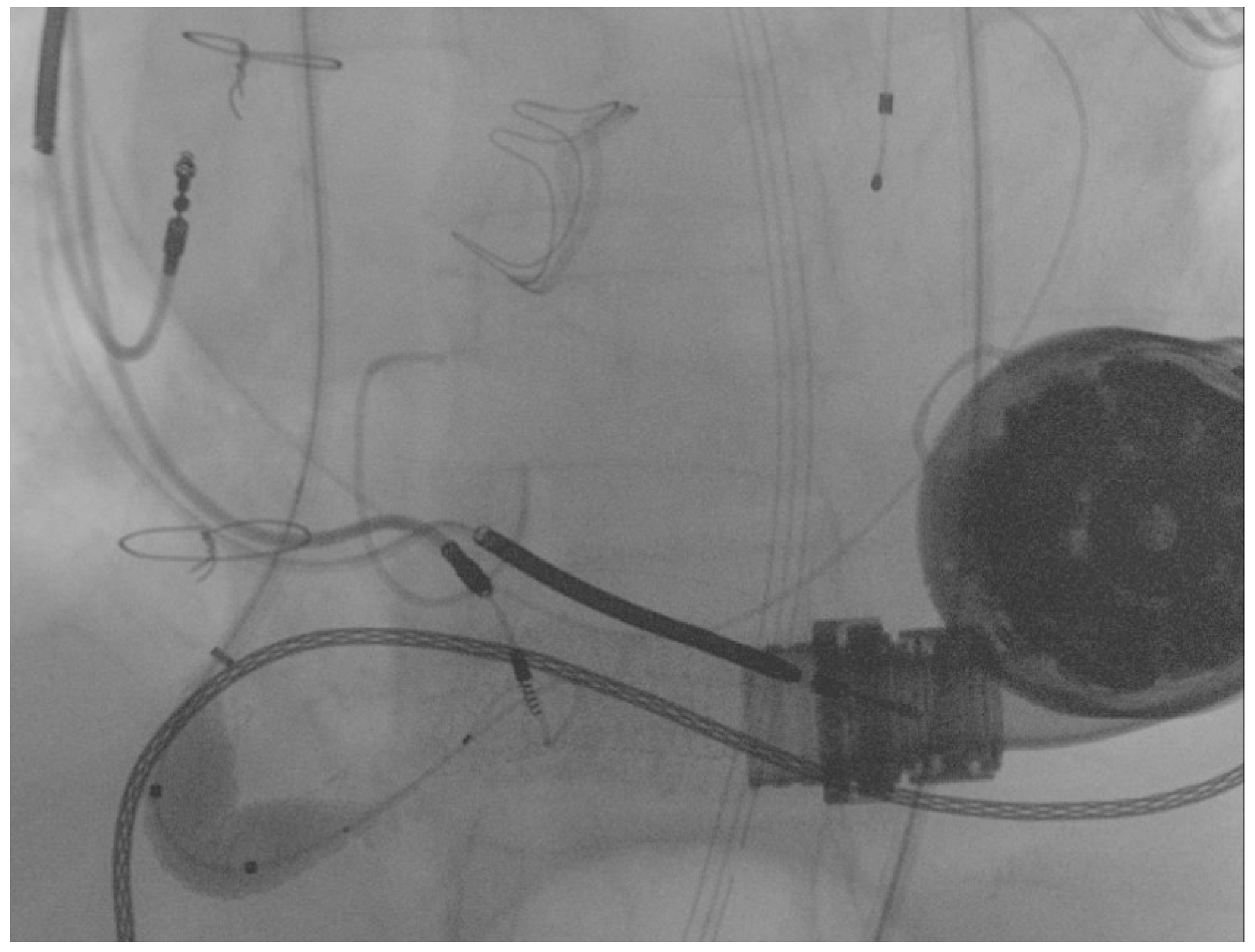 Ijerph 19 05976 g004