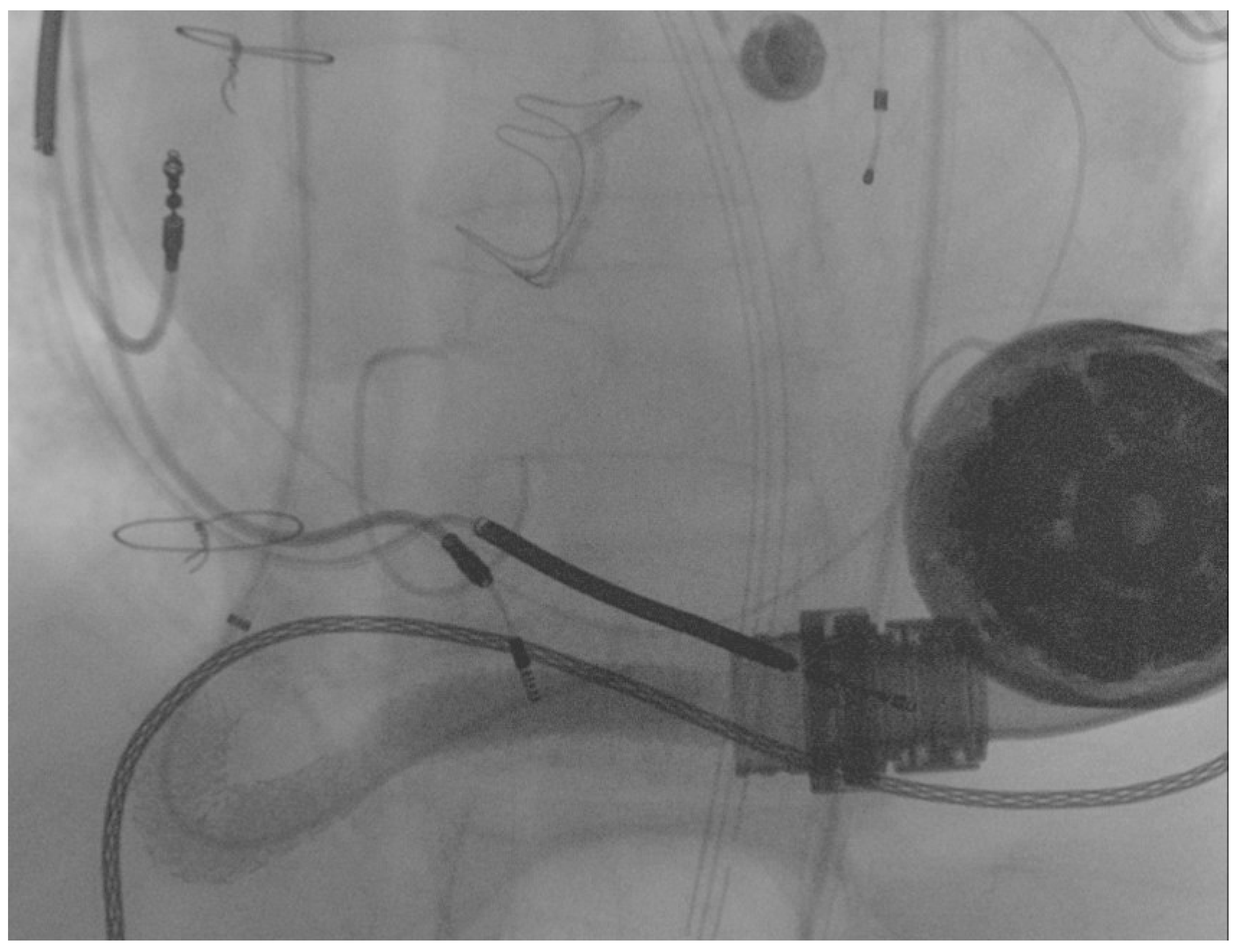 Ijerph 19 05976 g005