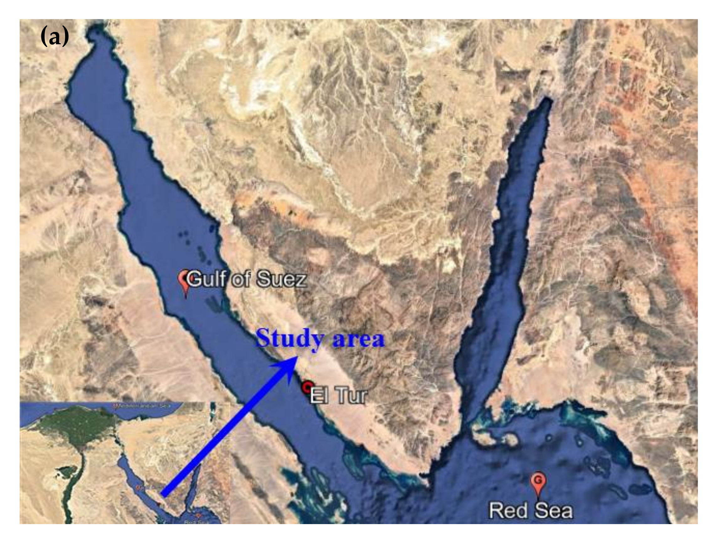 Ijerph 19 06049 g001a