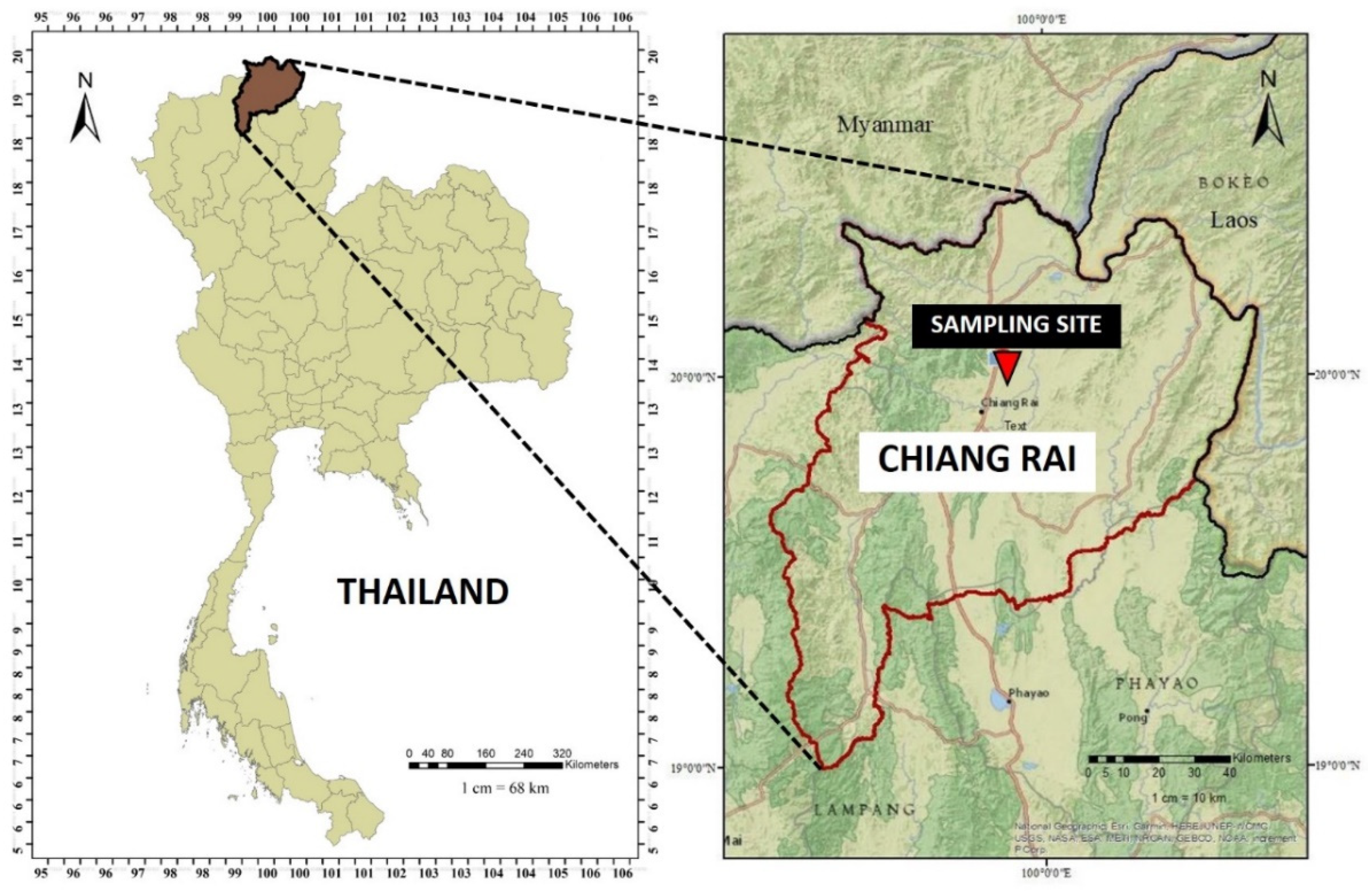 Ijerph 19 06127 g001