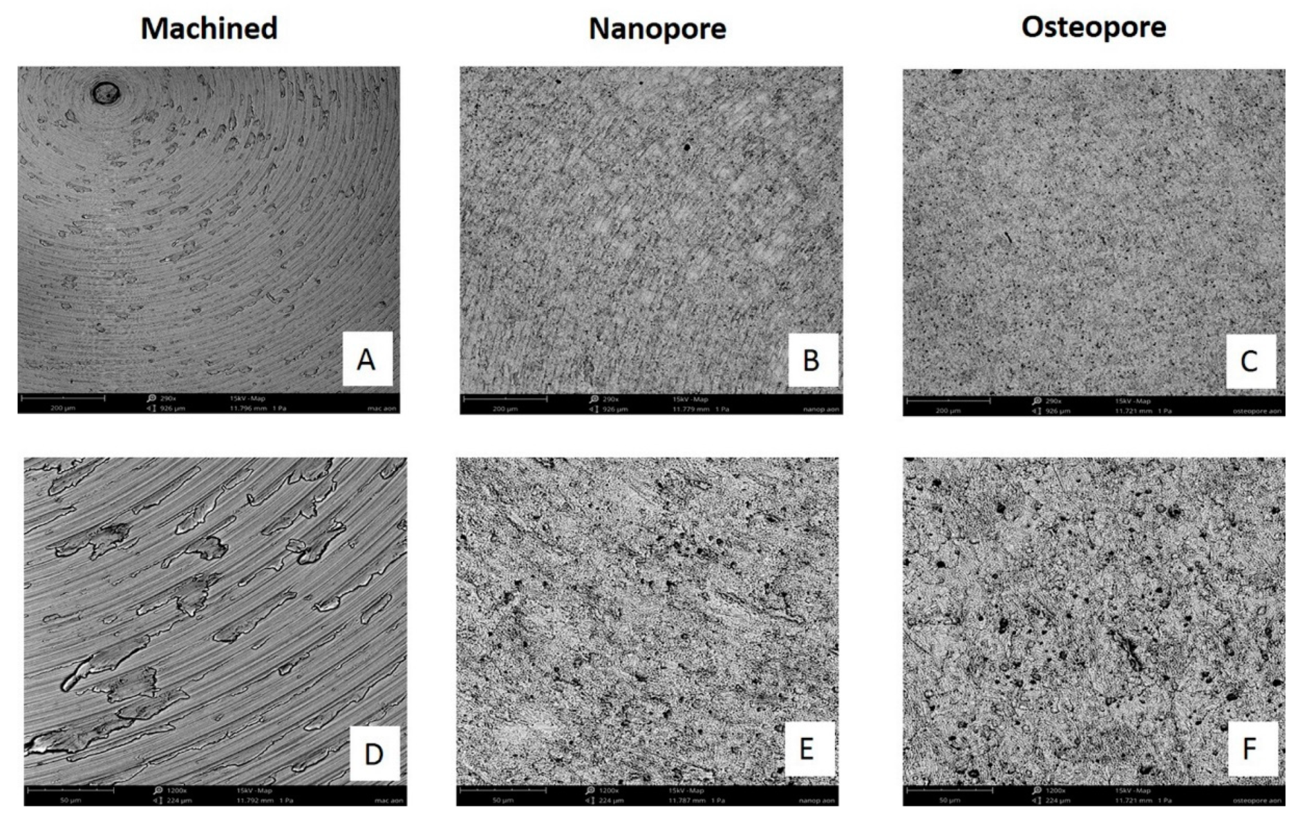 Ijerph 19 06212 g001