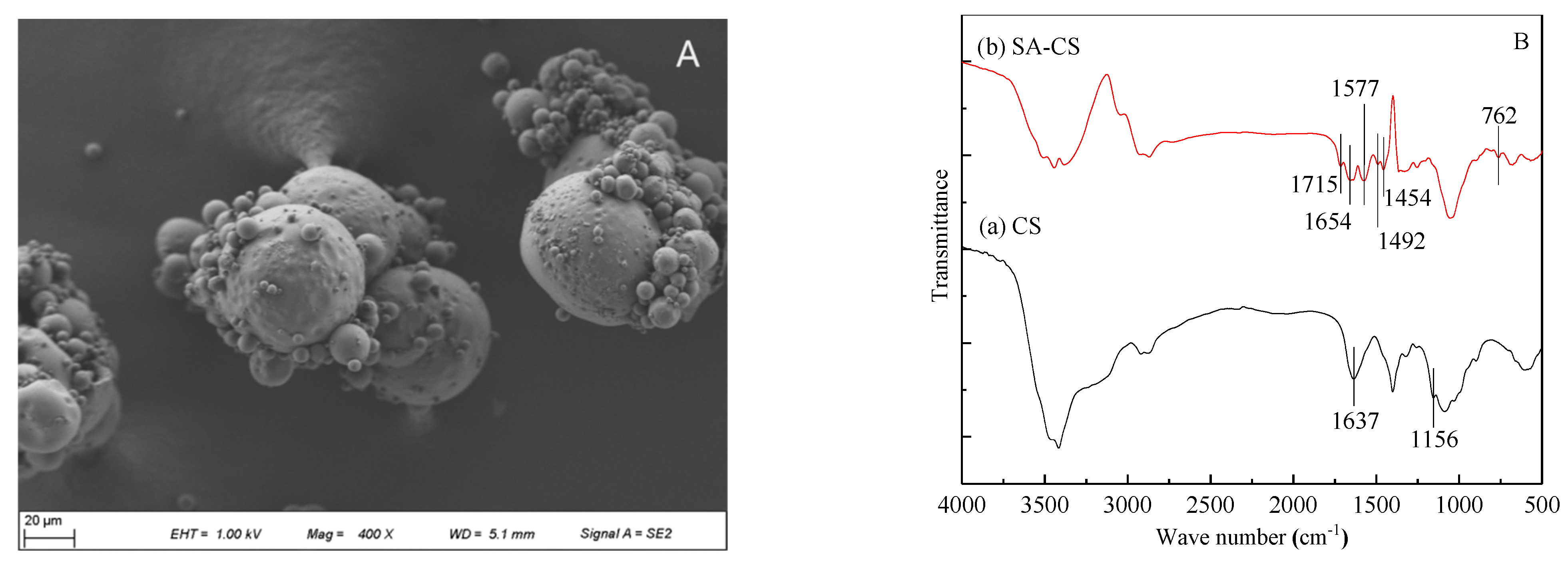 Ijerph 19 06320 g002
