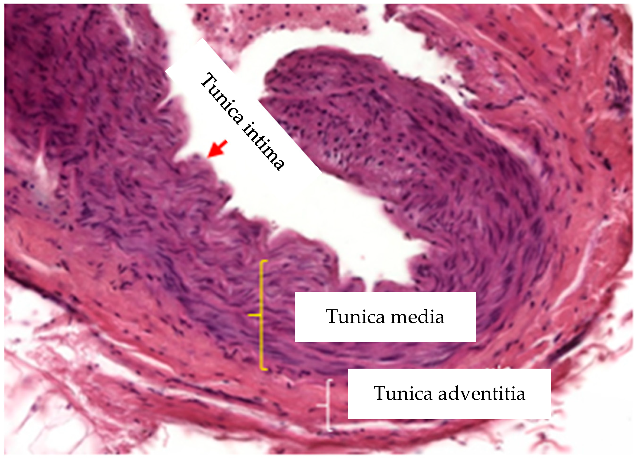 Ijerph 19 06399 g002