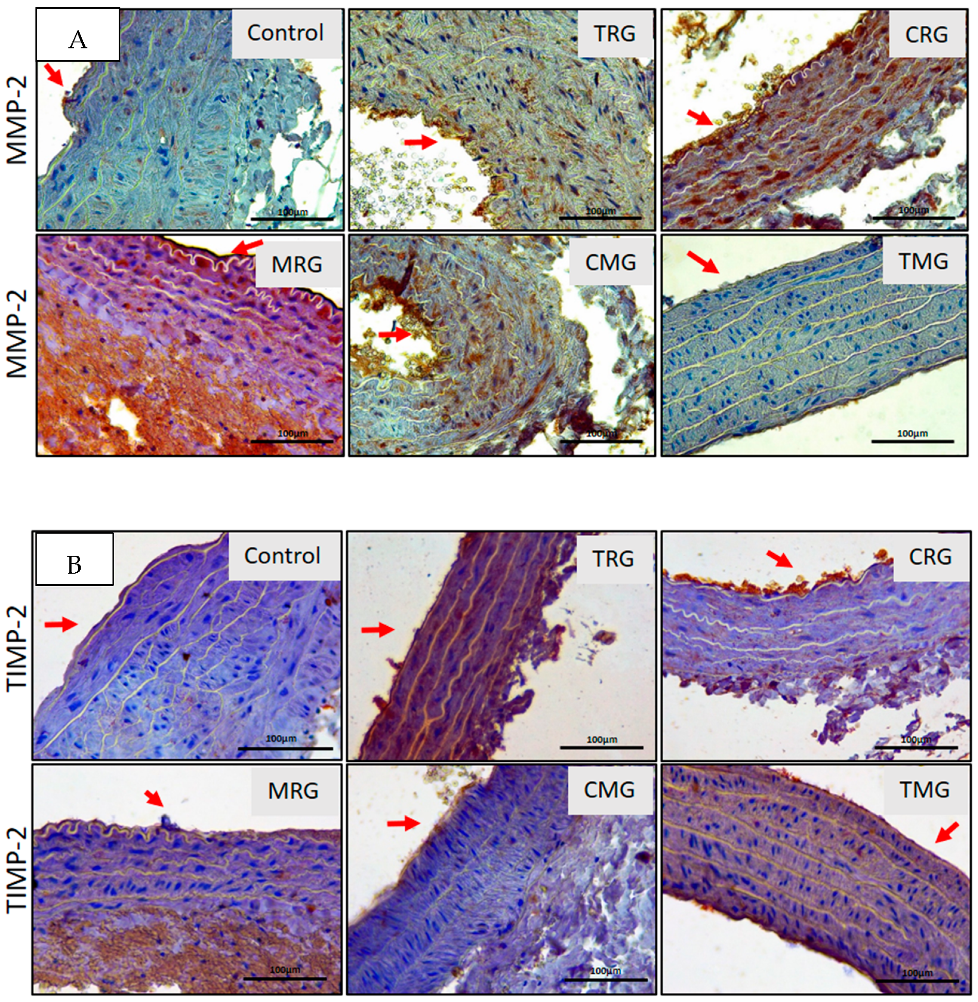 Ijerph 19 06399 g005