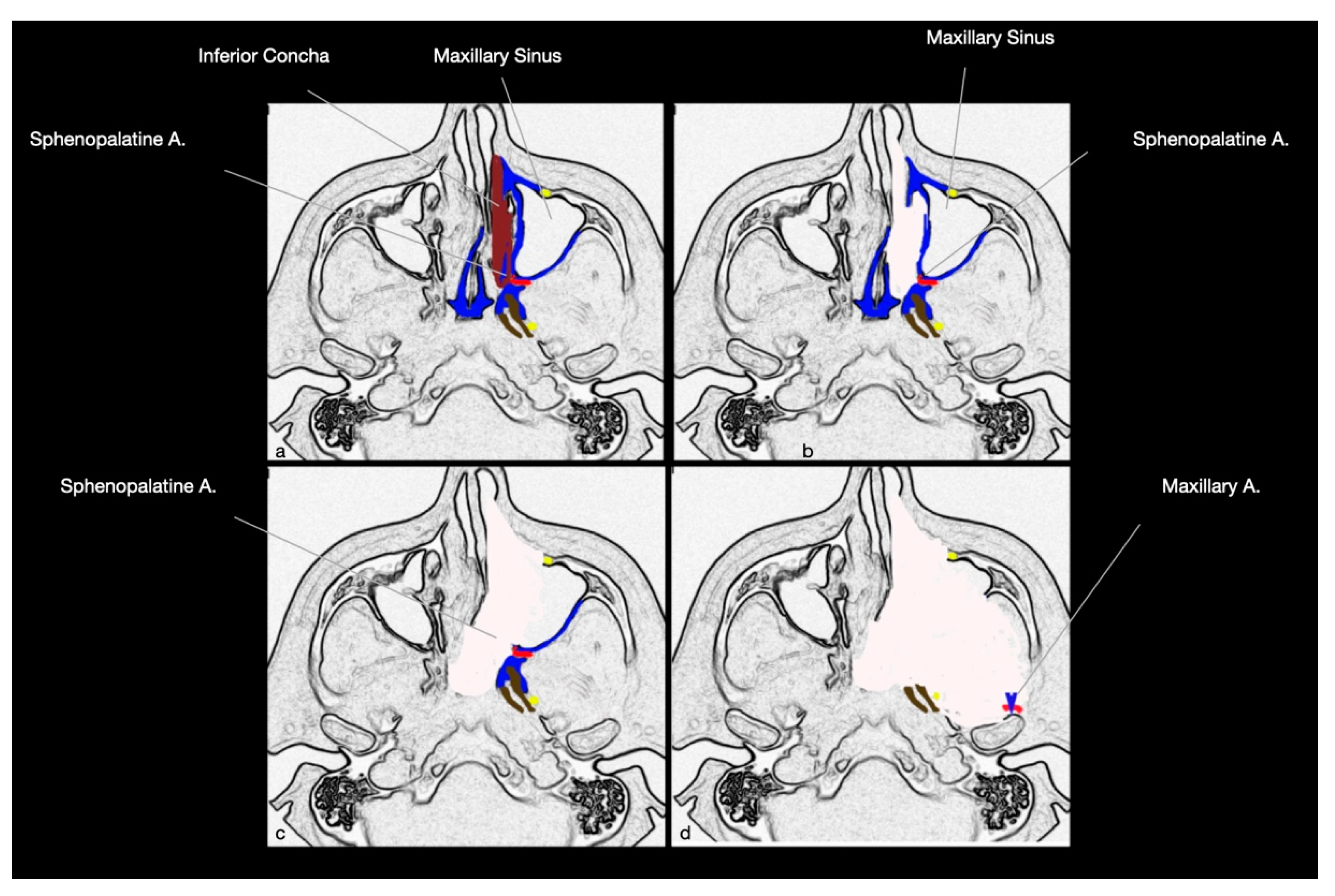 Ijerph 19 06413 g001