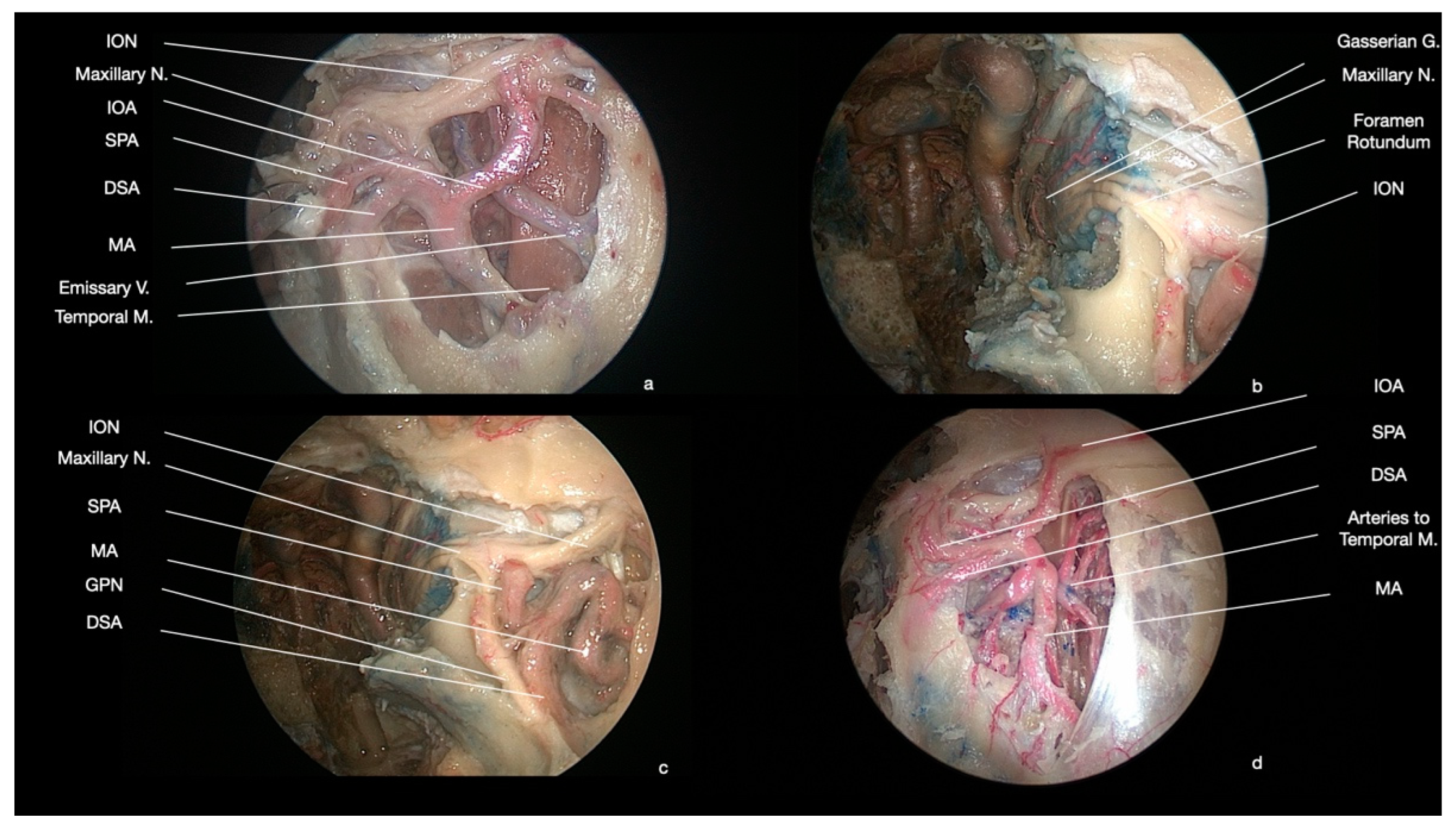 Ijerph 19 06413 g003