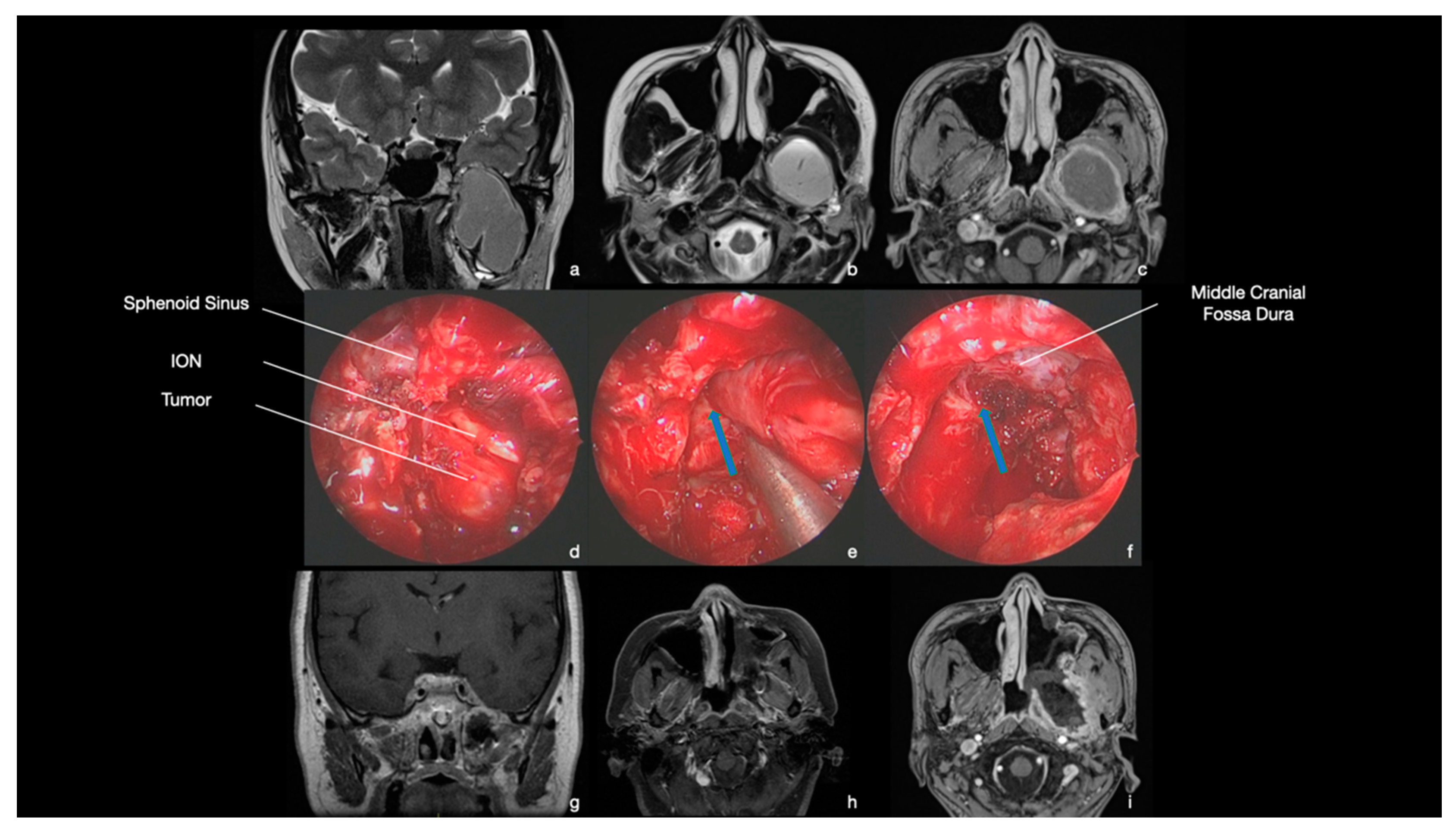 Ijerph 19 06413 g007