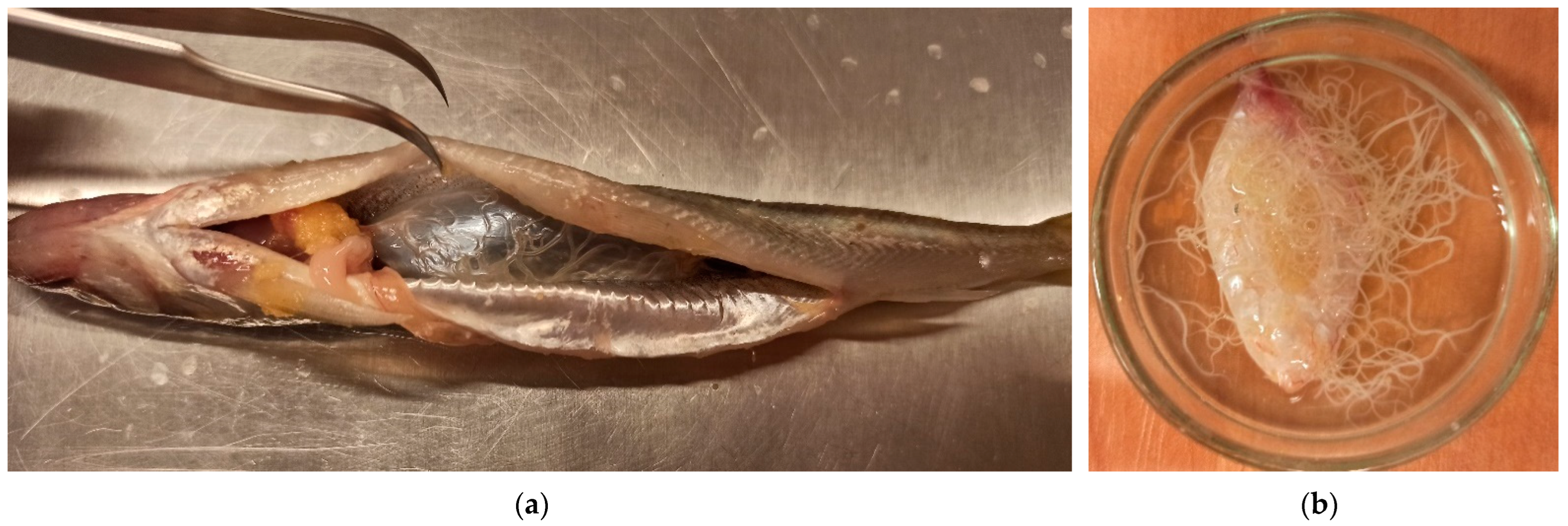 Ijerph 19 06430 g001