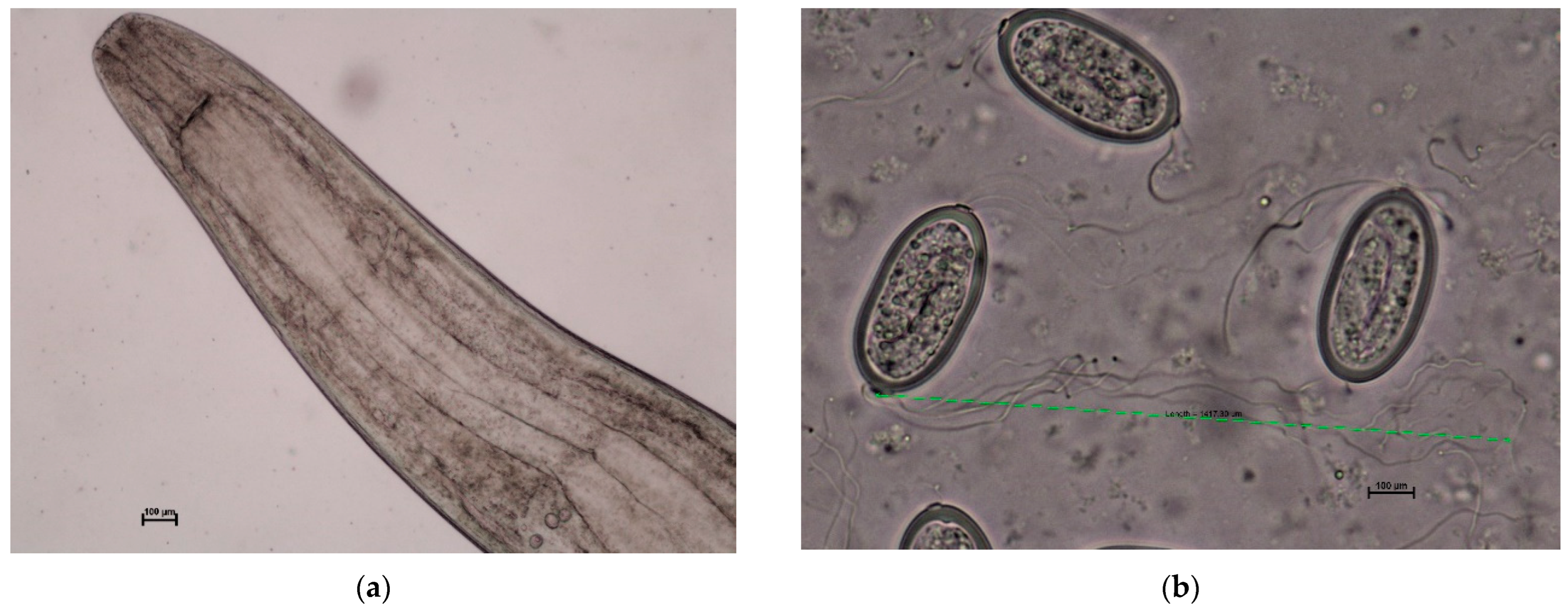 Ijerph 19 06430 g002