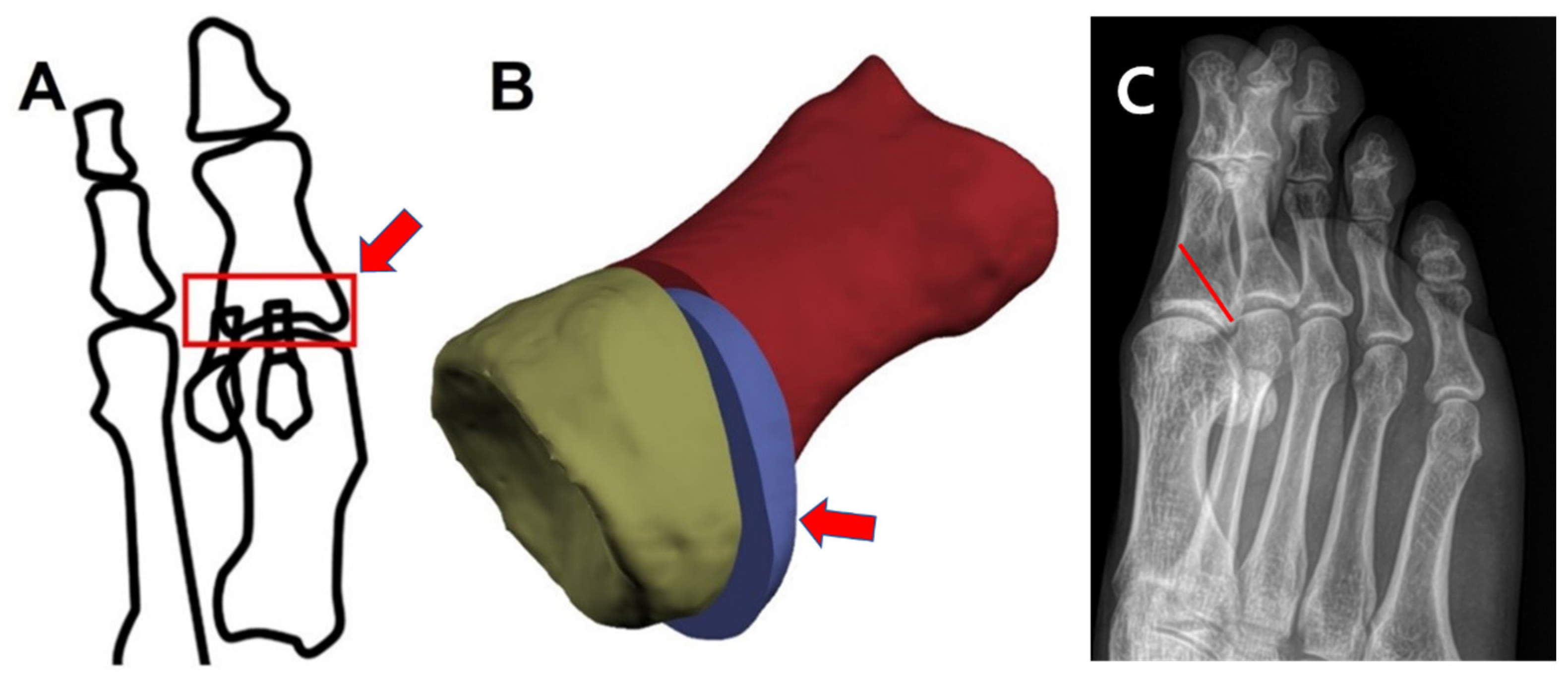 Ijerph 19 06487 g001