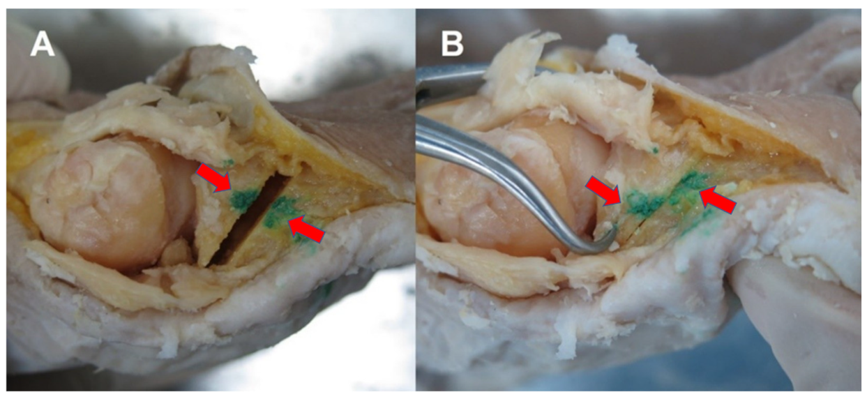 Ijerph 19 06487 g002