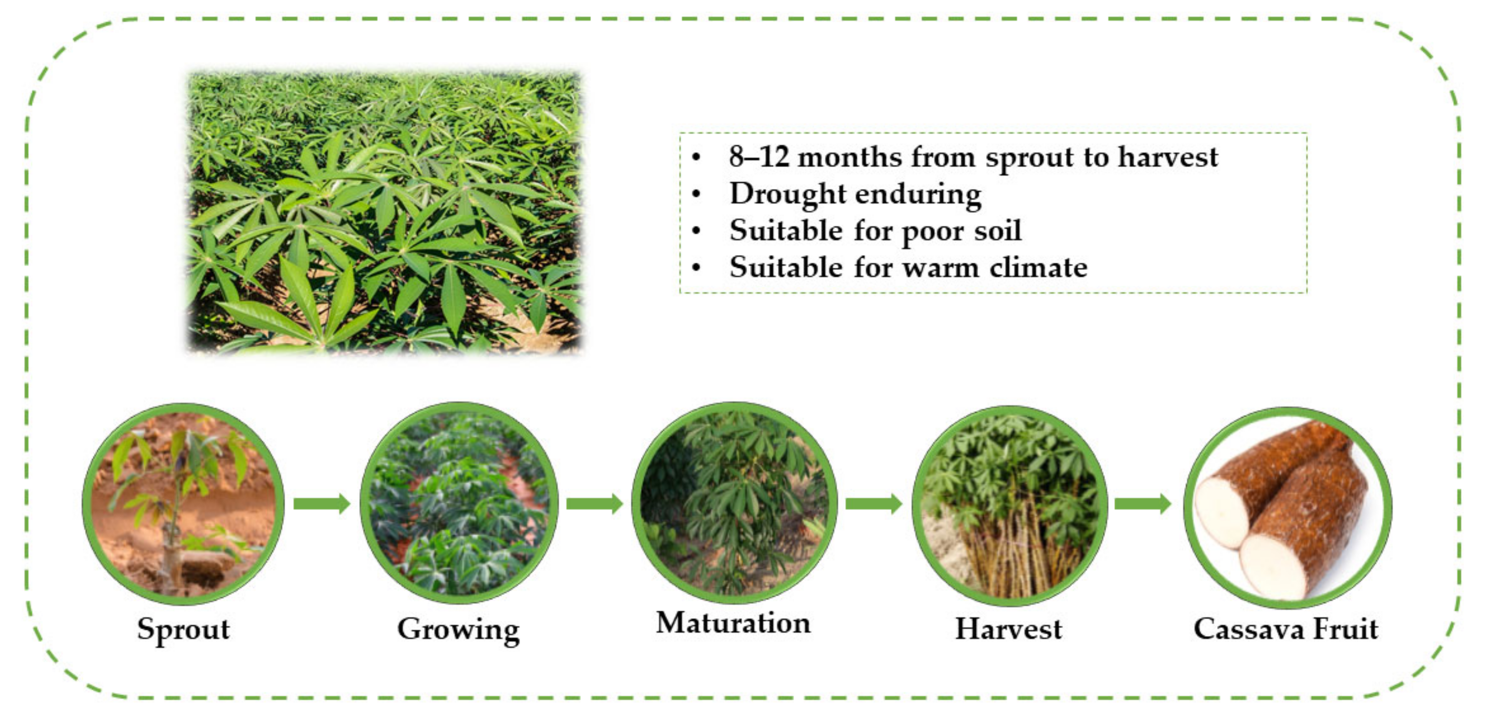 Ijerph 19 06499 g001