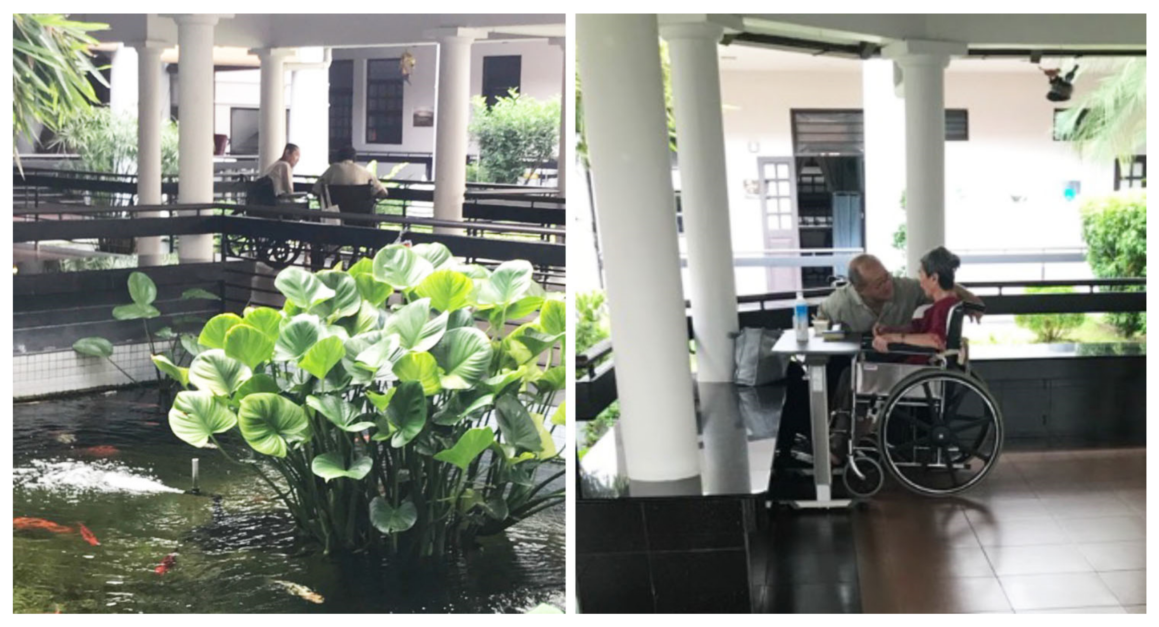 Ijerph 19 06557 g011