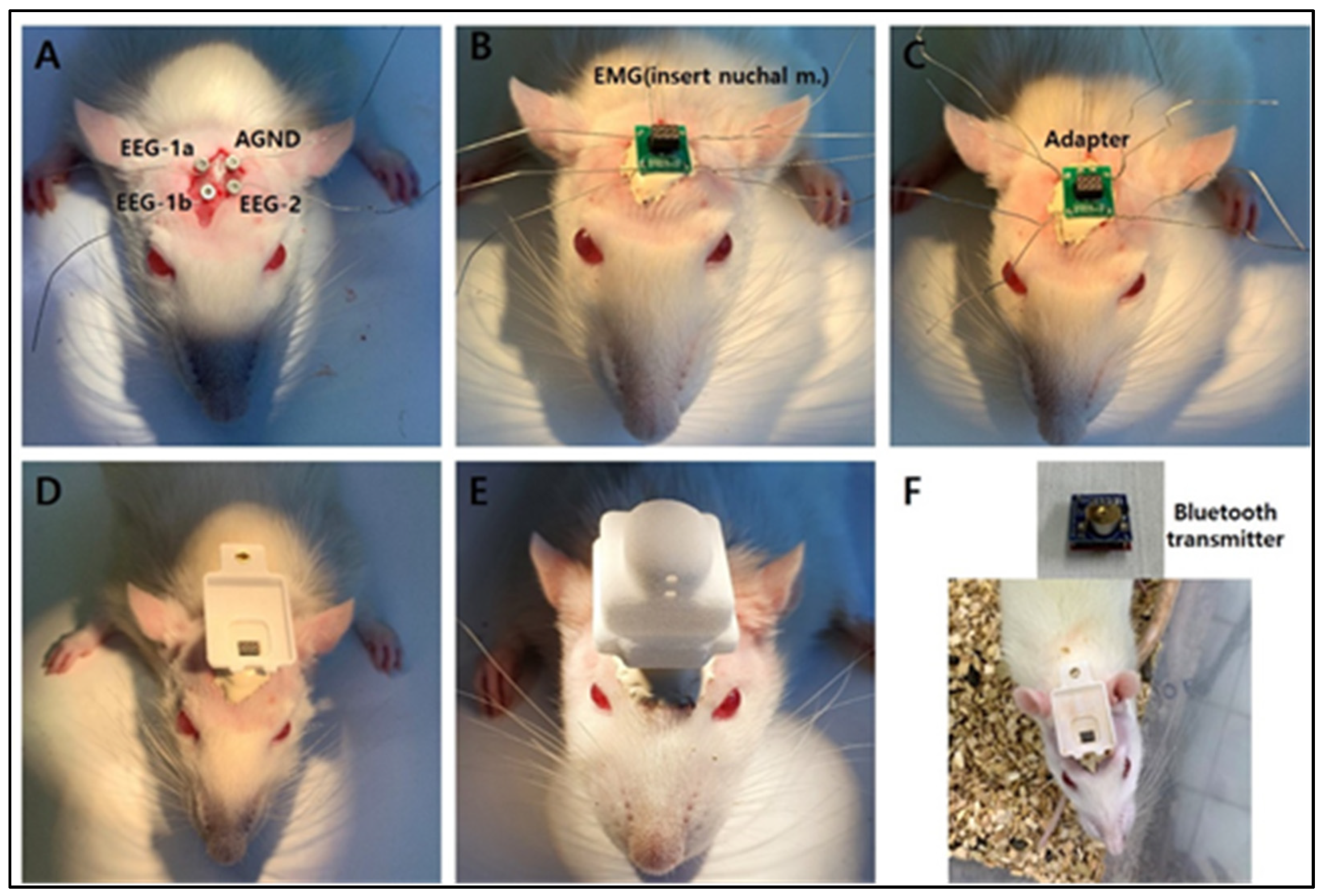 Ijerph 19 06629 g003