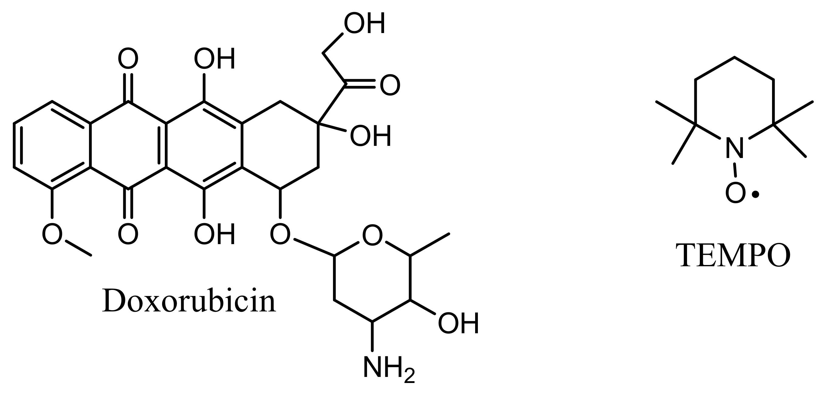 Ijerph 19 06645 g001