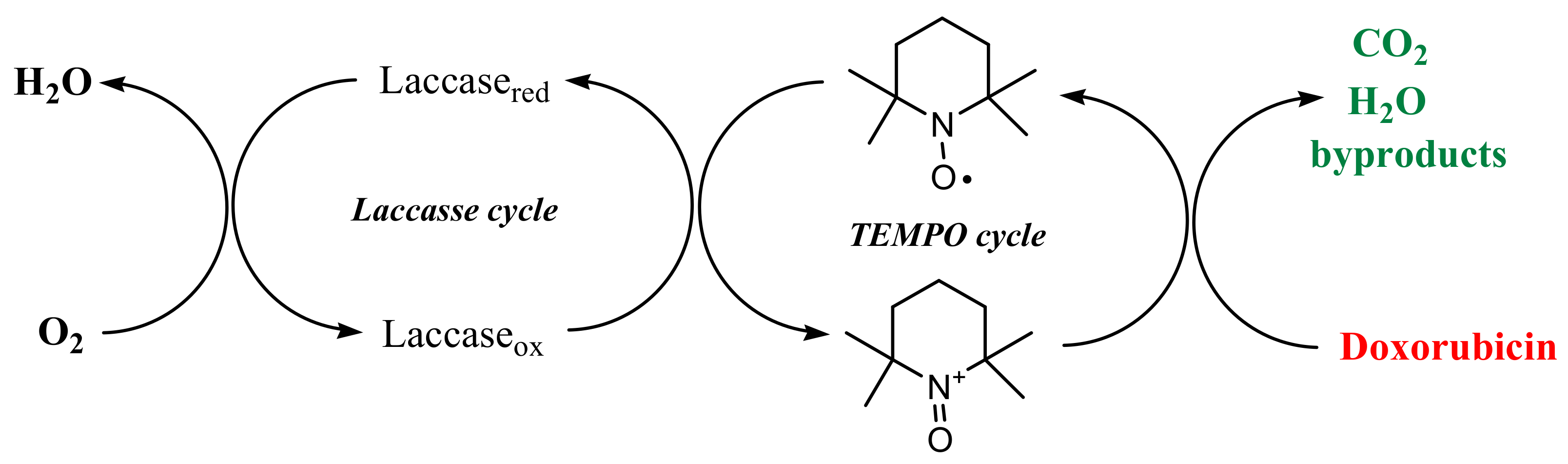 Ijerph 19 06645 g002