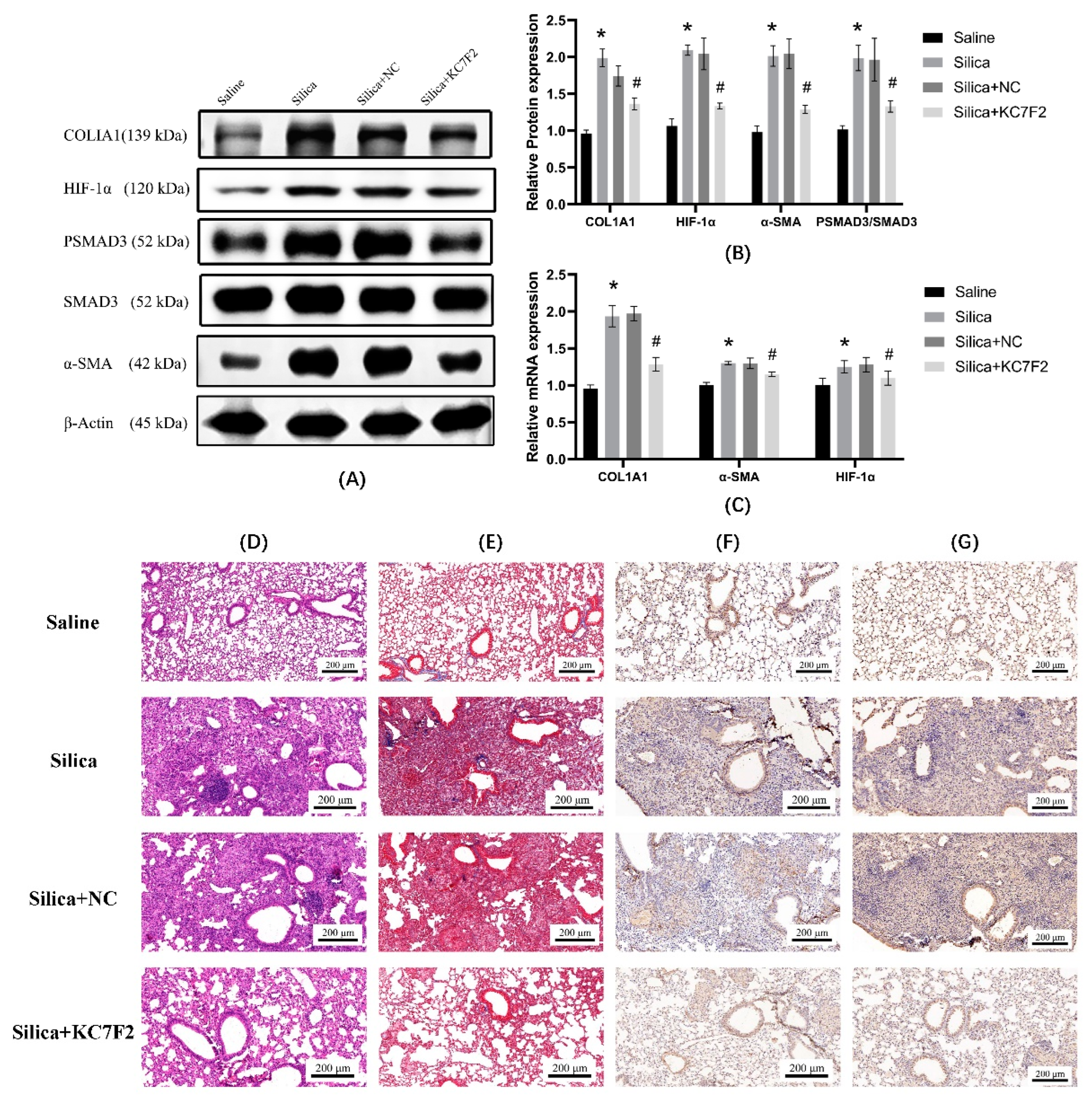 Ijerph 19 06775 g007