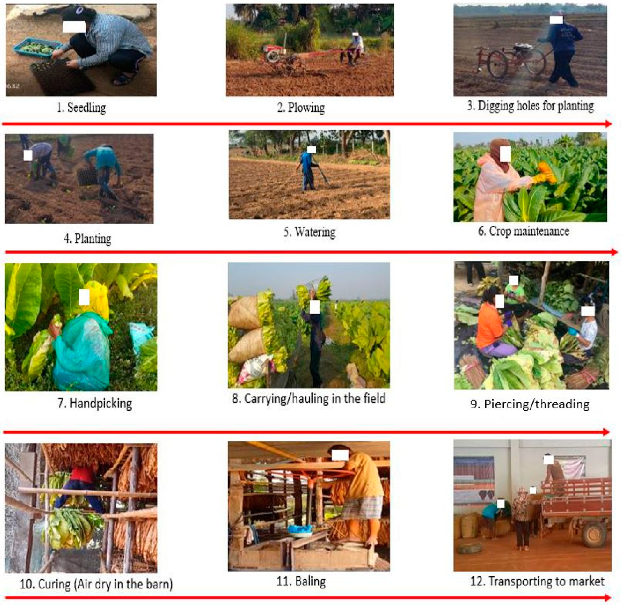 Ijerph 19 06779 g001