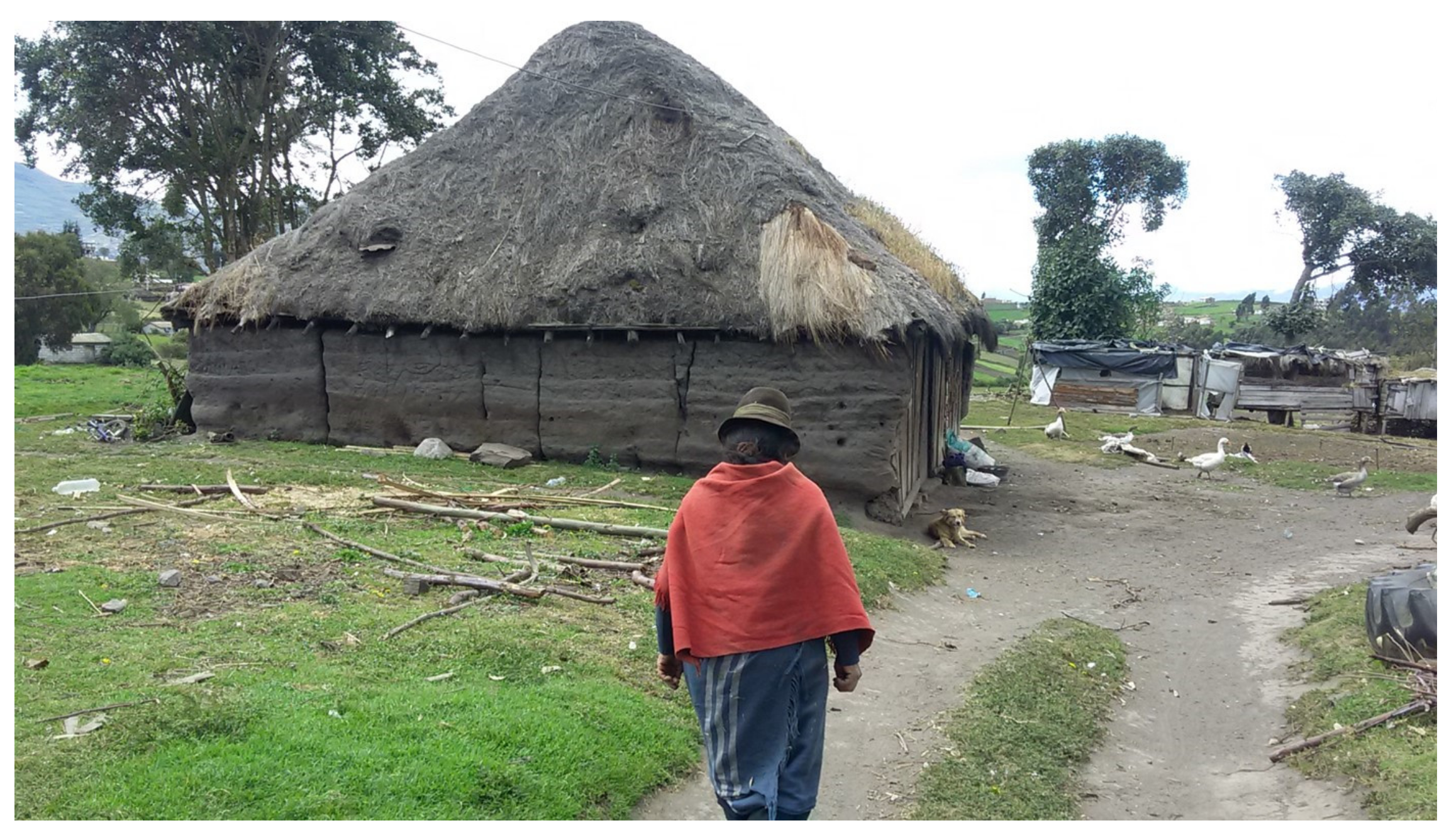 Ijerph 19 06901 g006