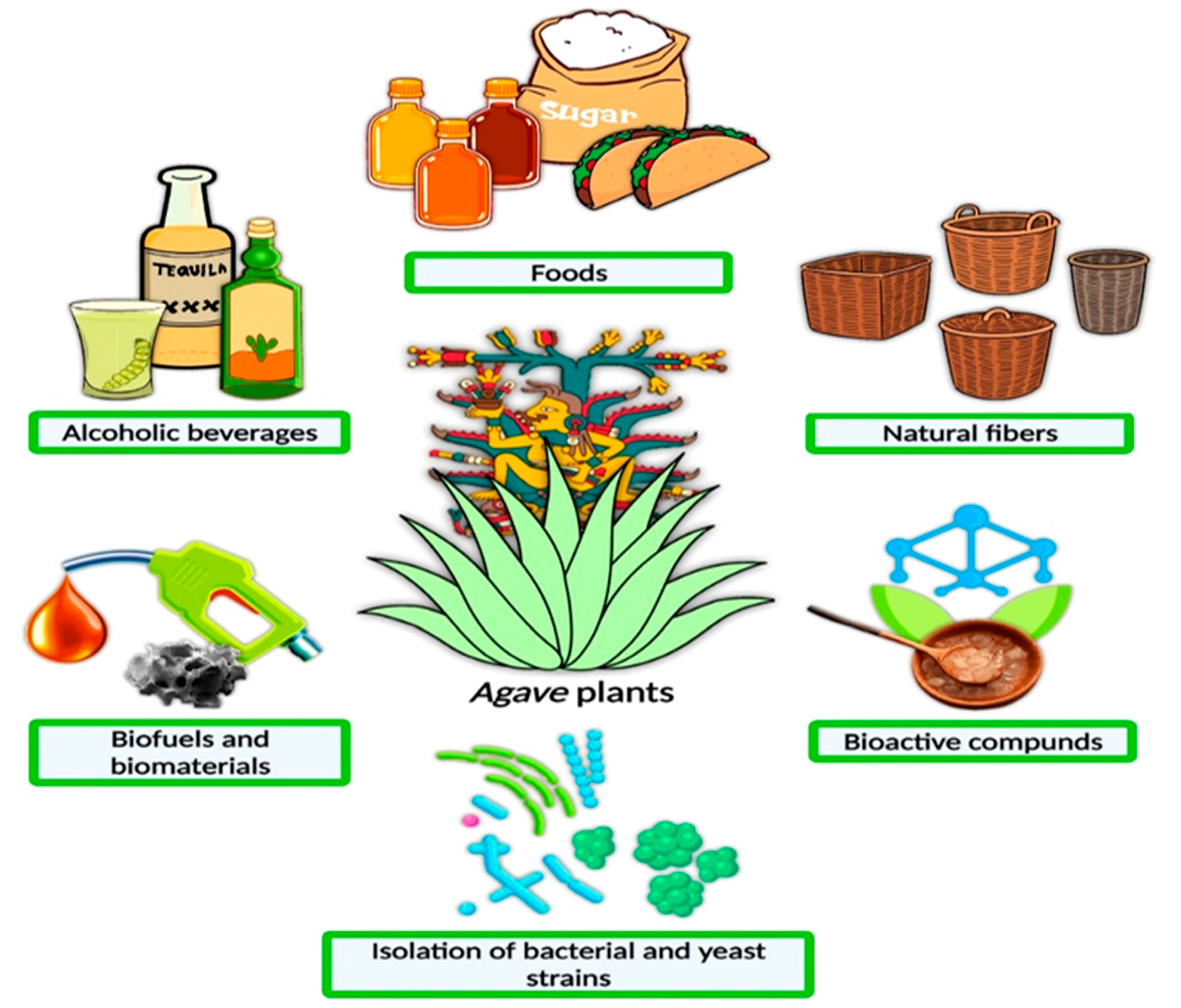 Ijerph 19 07022 g001