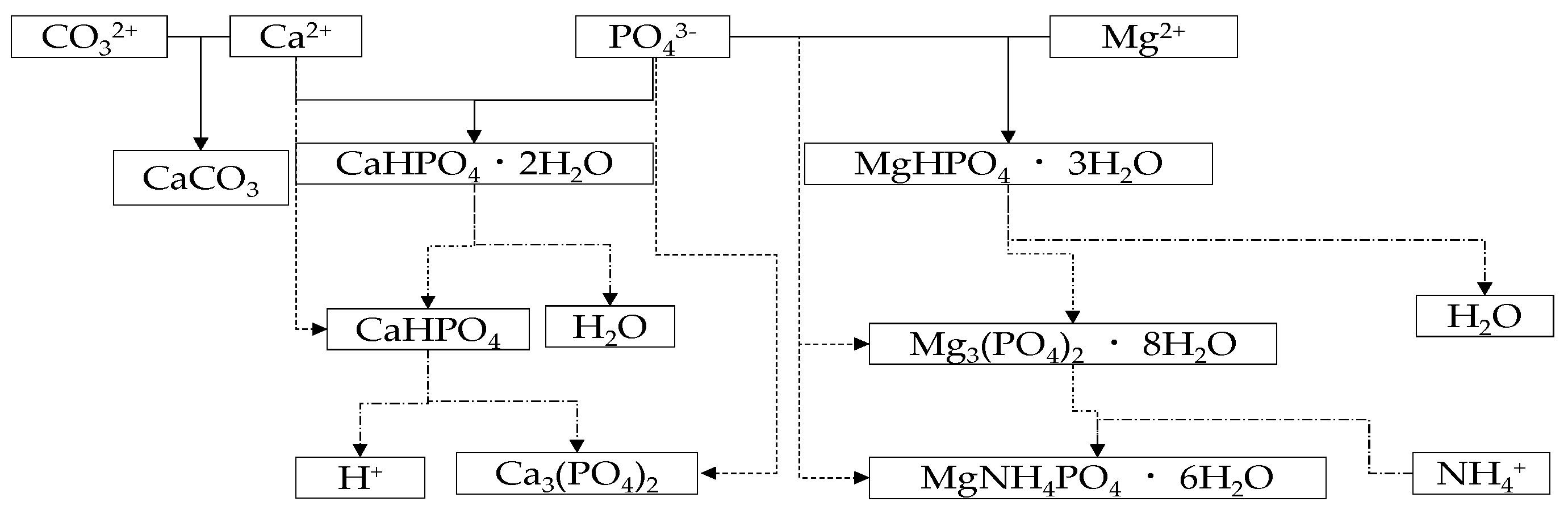Ijerph 19 07204 g001