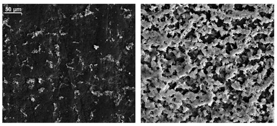 Ijerph 19 07241 g0a3 550