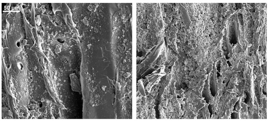 Ijerph 19 07241 g0a6 550