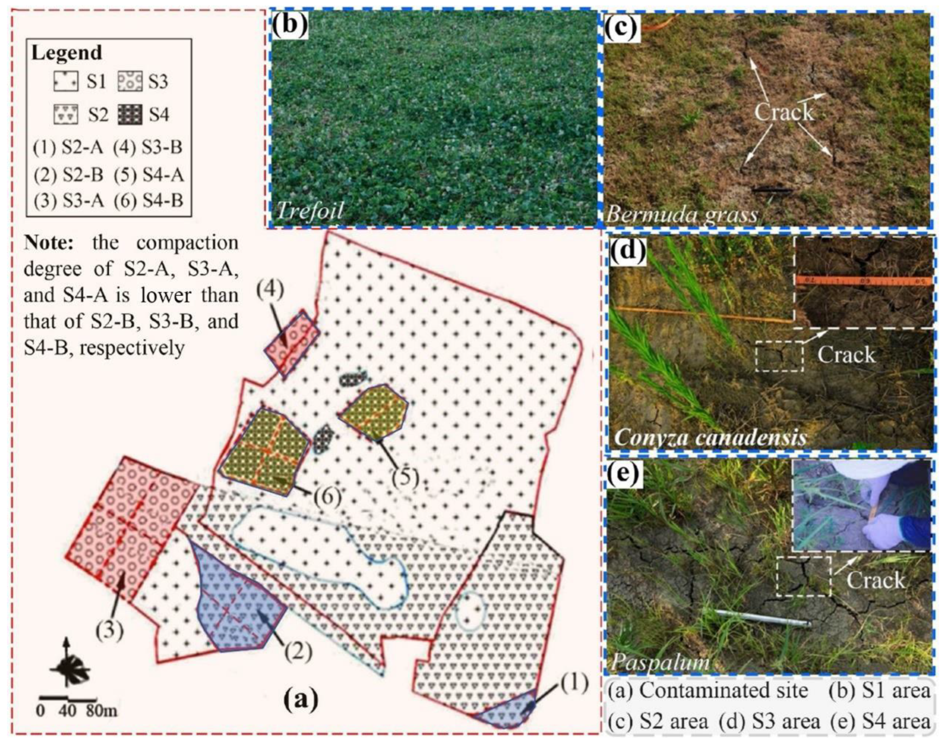 Ijerph 19 07248 g005