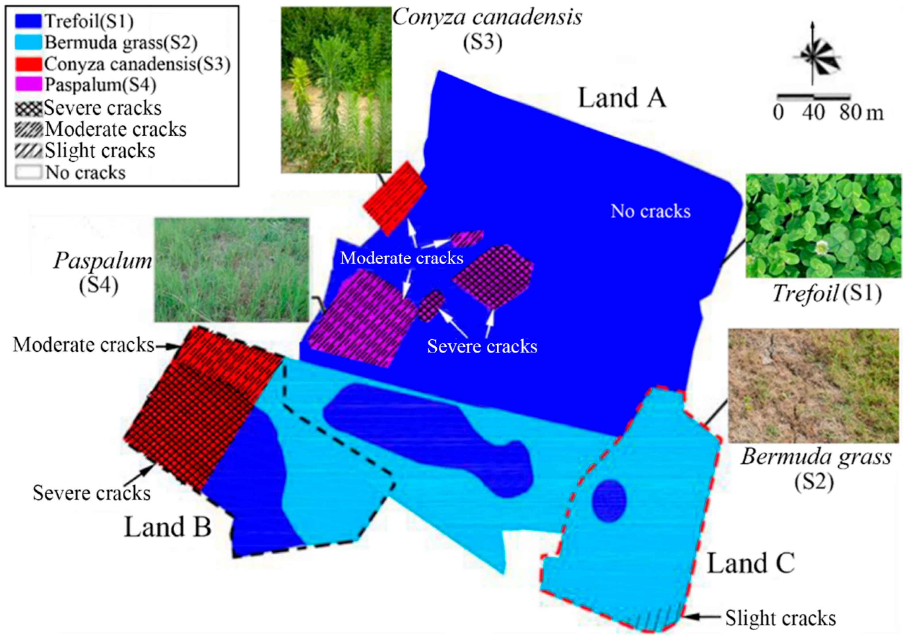 Ijerph 19 07248 g008