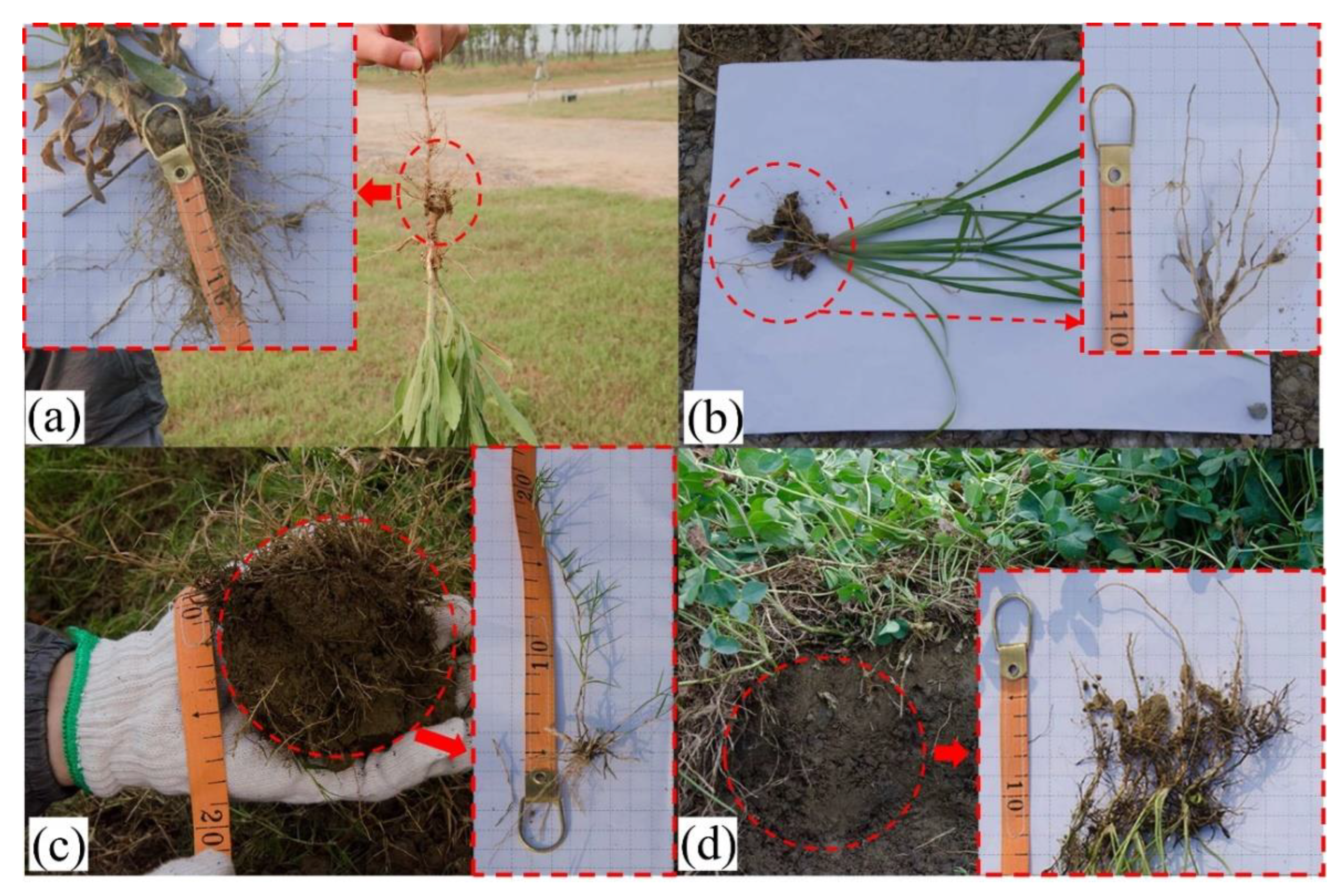 Ijerph 19 07248 g009