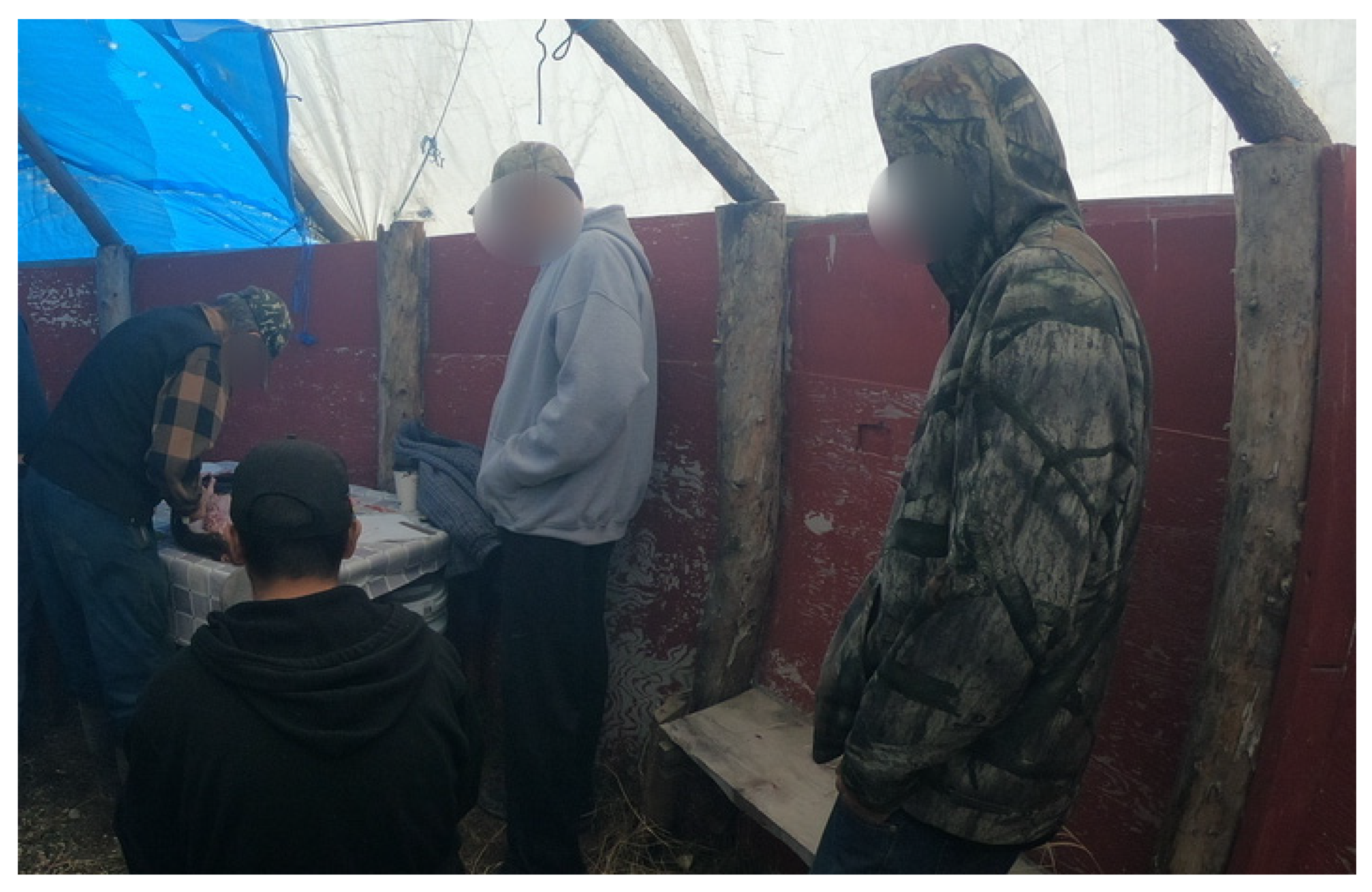 Ijerph 19 07335 g001